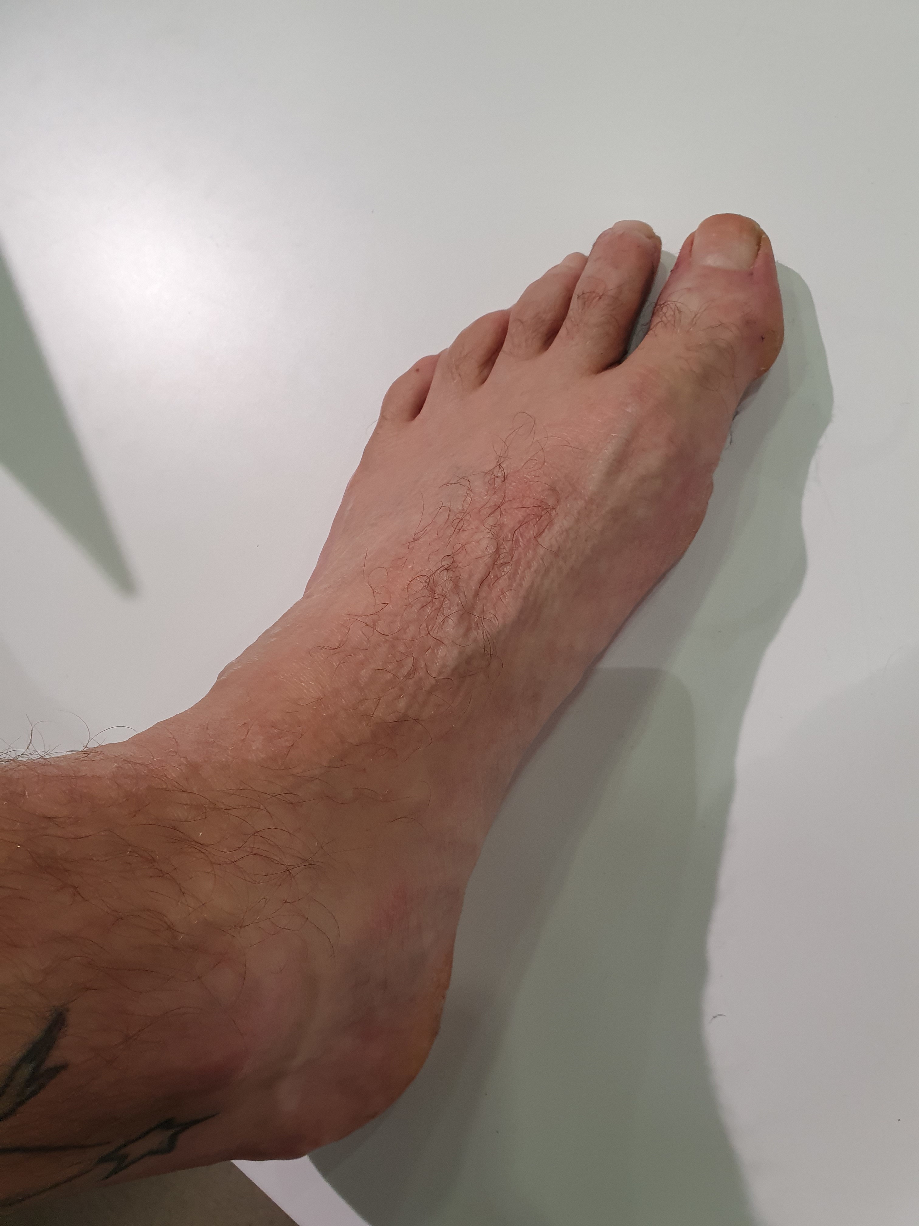 dudefoot profile