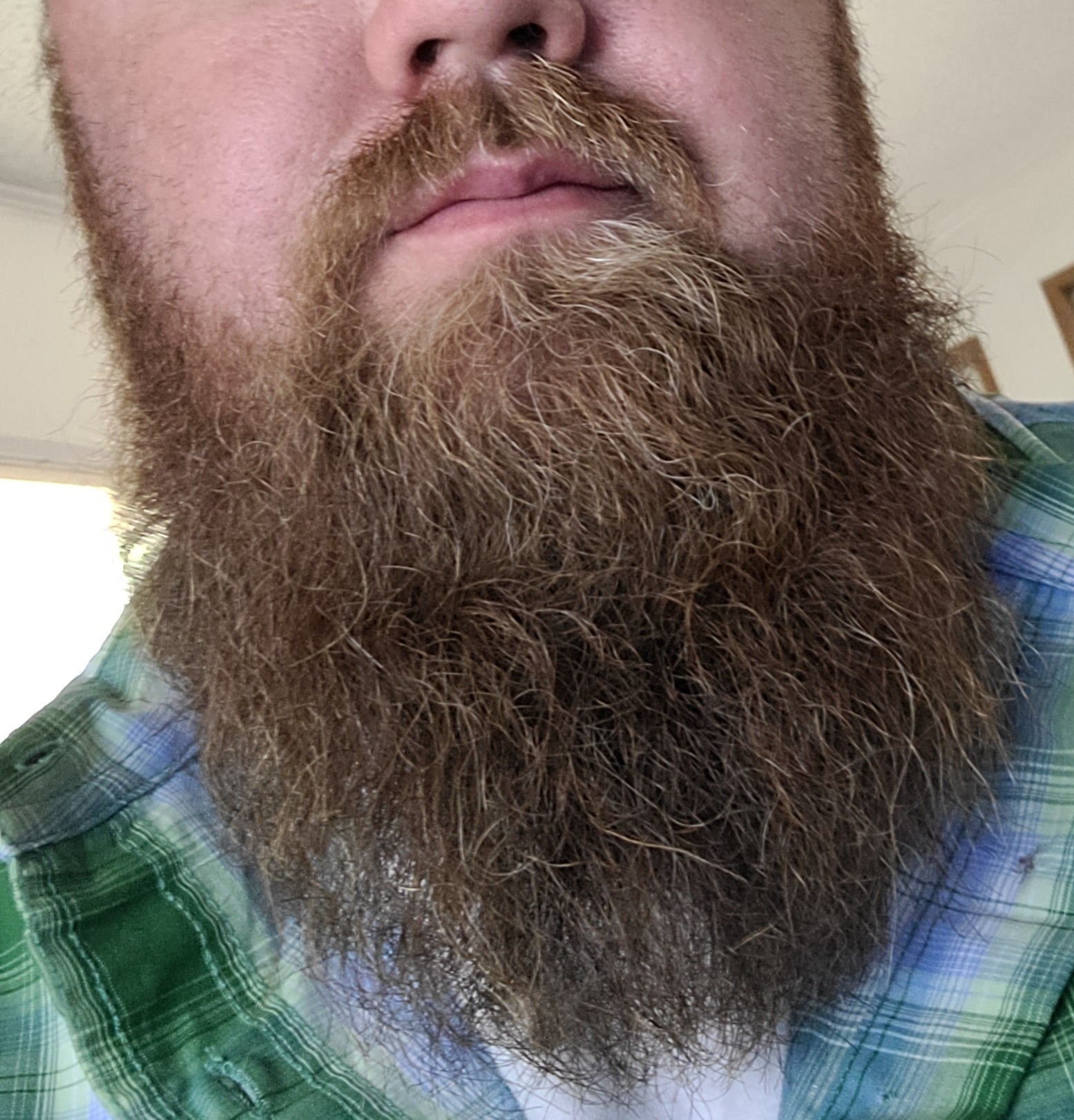 thebeard2021 profile