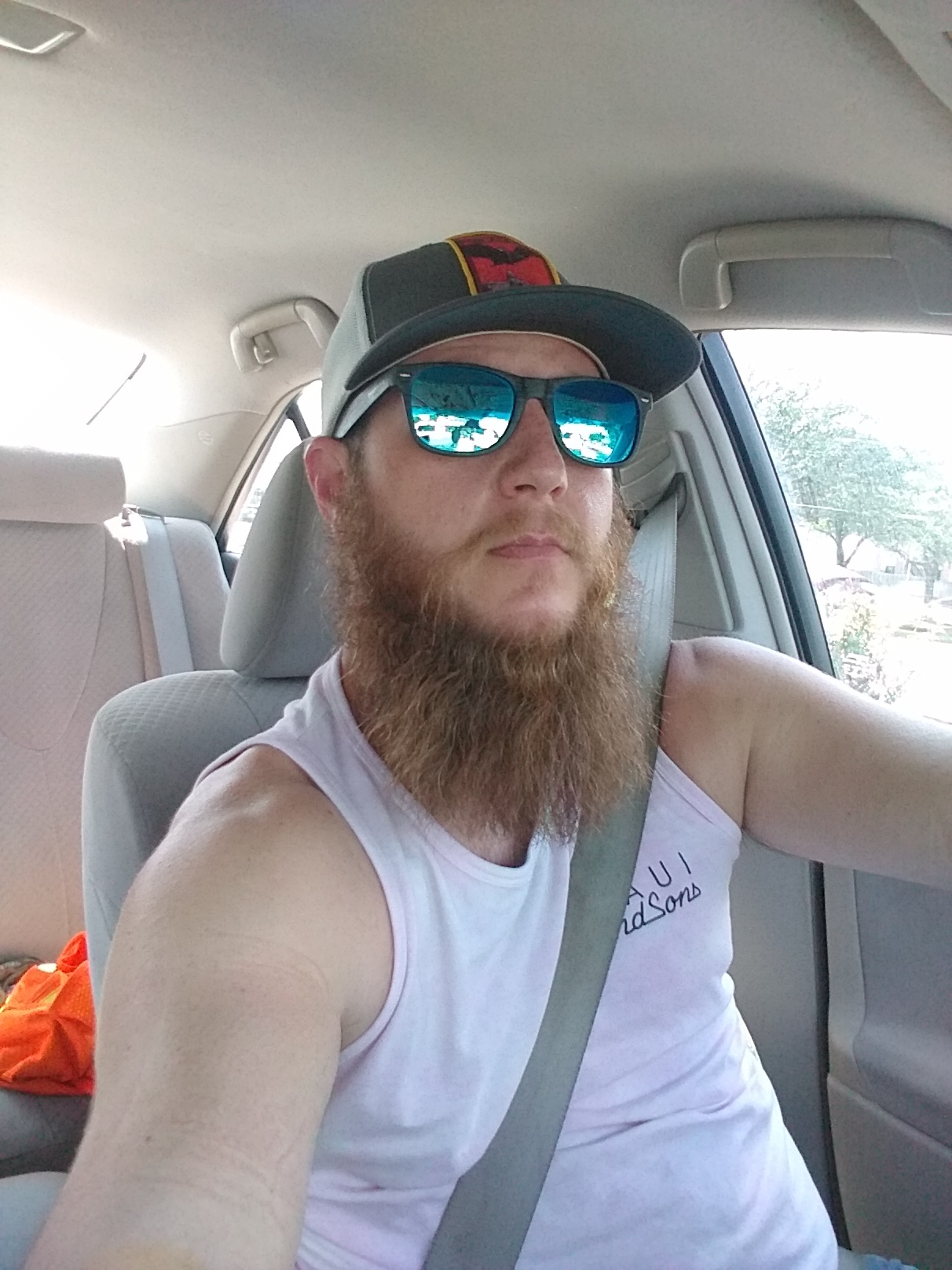 southernviking profile