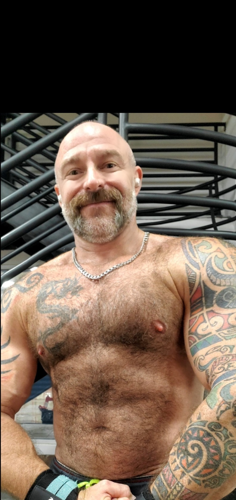 musclebearmontreal profile