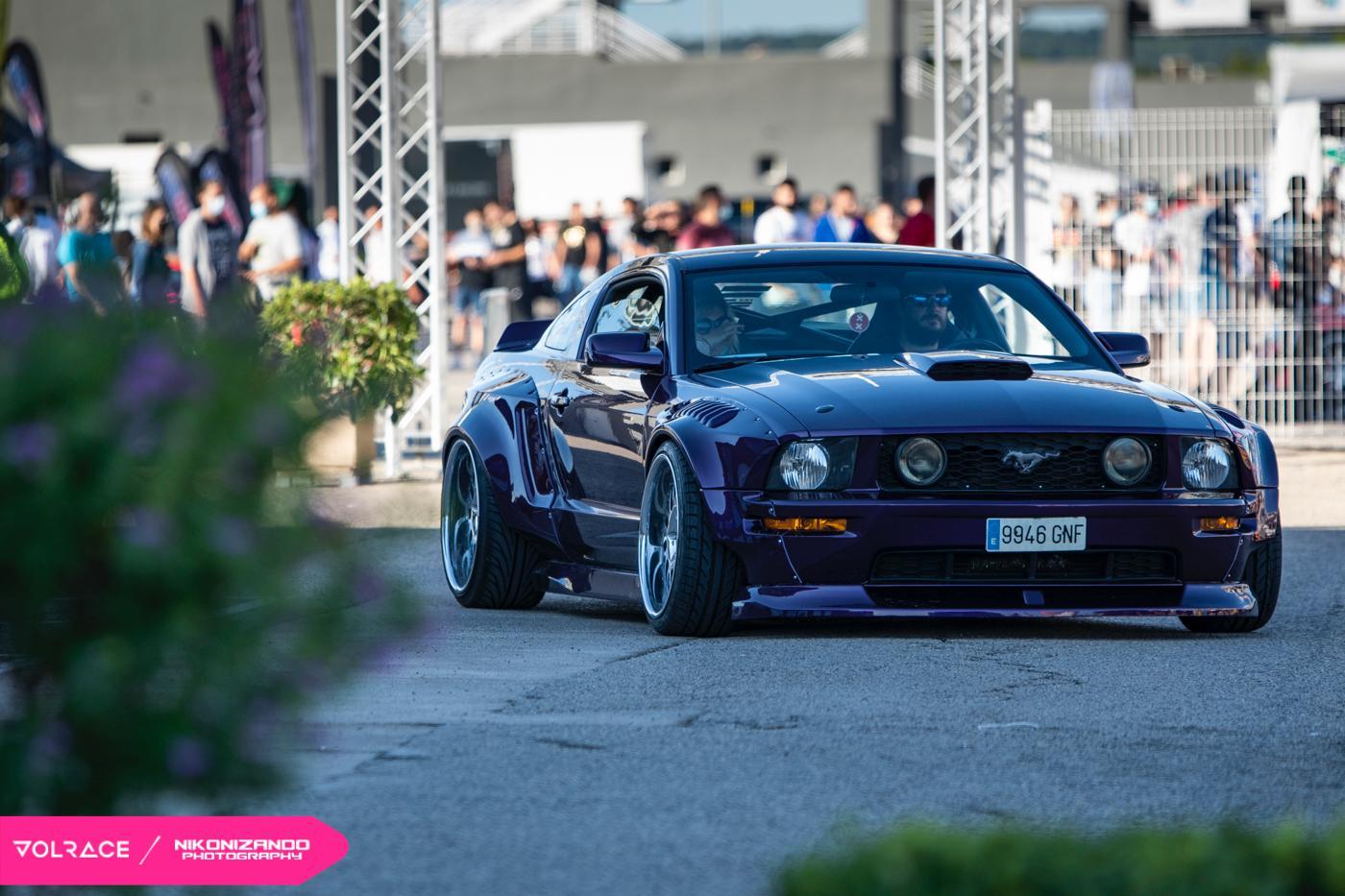 widemustang profile