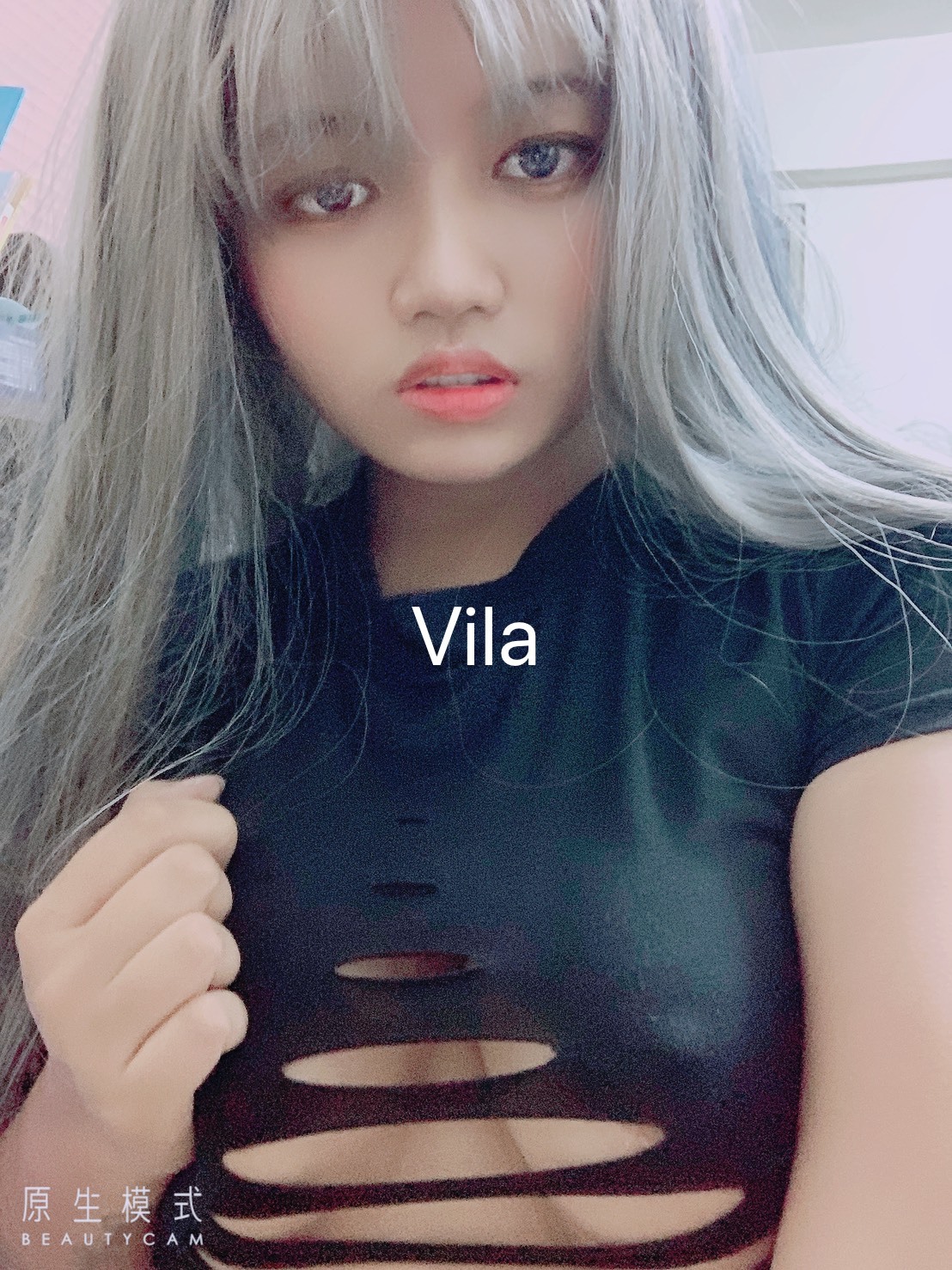 vila151515cover