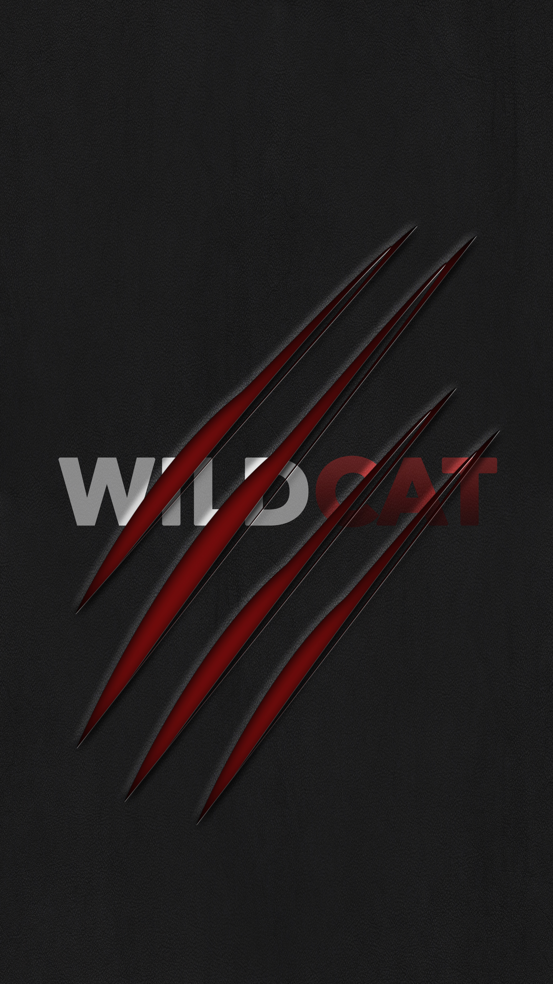 wildcatmagazinecover