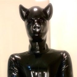 versrubberpig profile