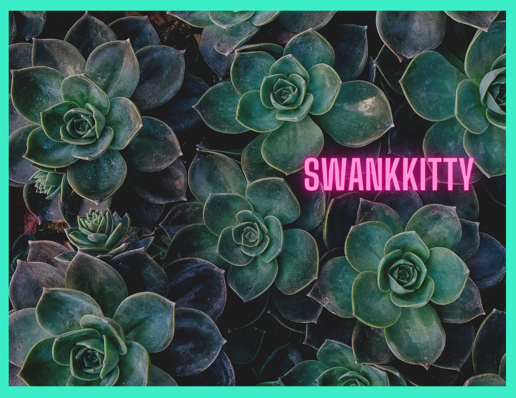 swankkittie thumbnail