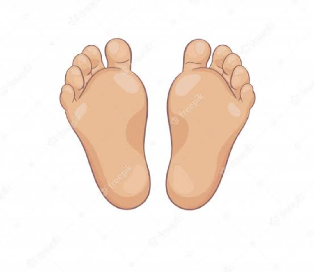 bj.feet profile