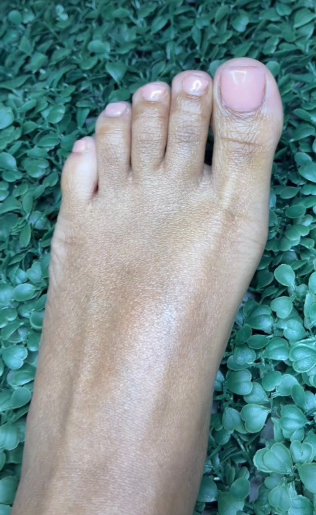 browntoes205 profile