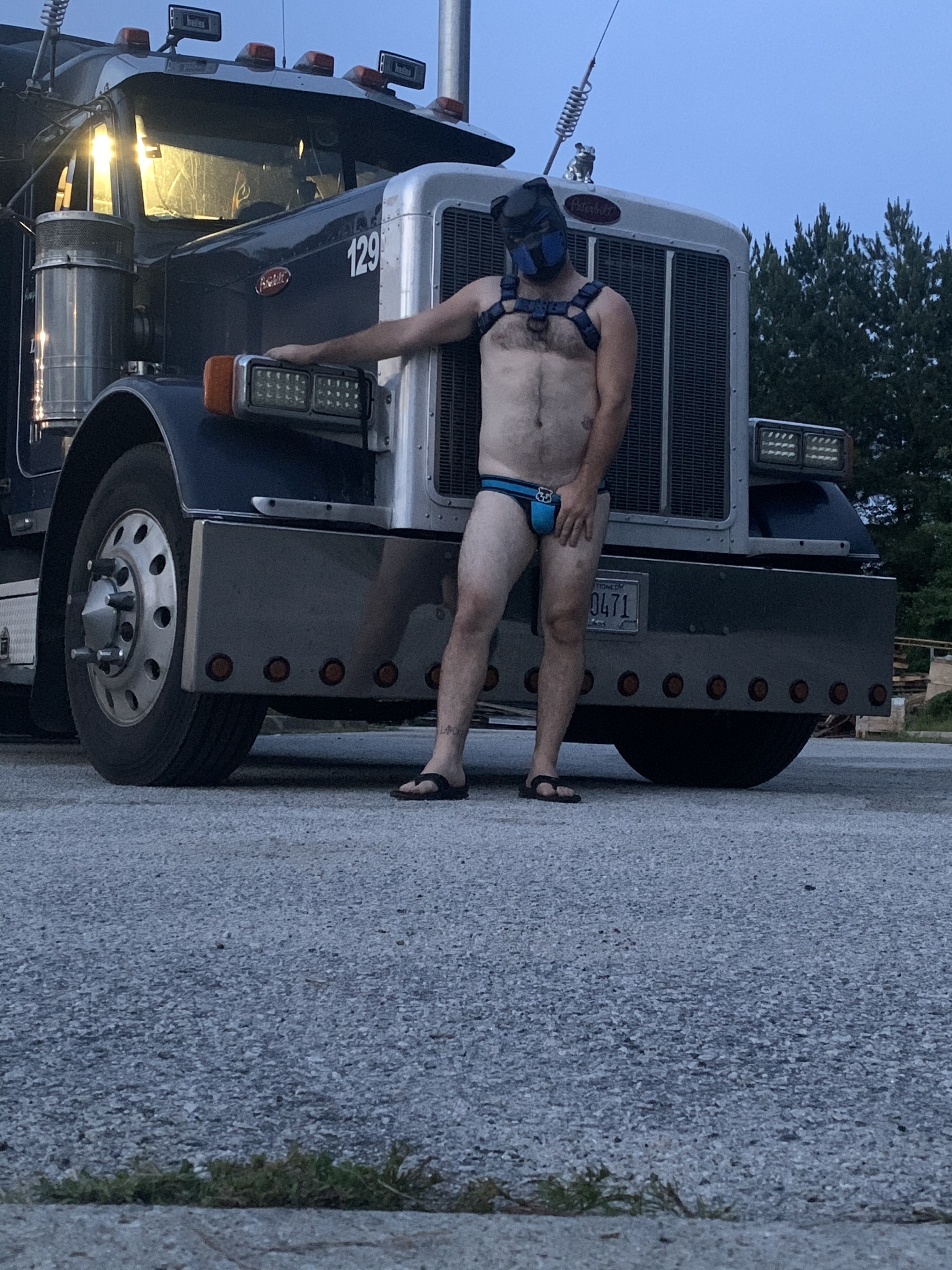 free_truckerpupcover