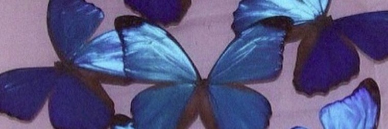 thebutterflyeffects thumbnail