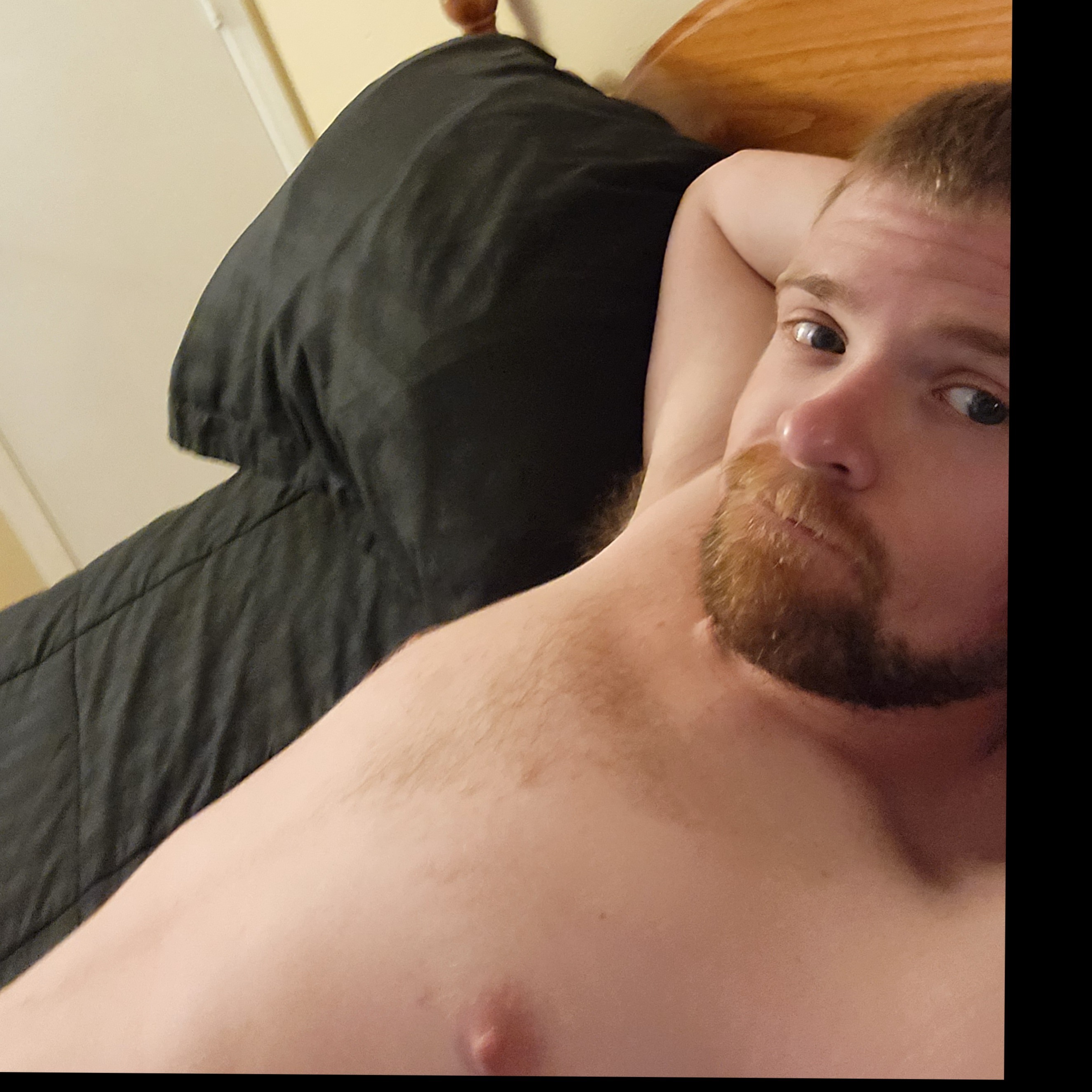 indy_dick thumbnail