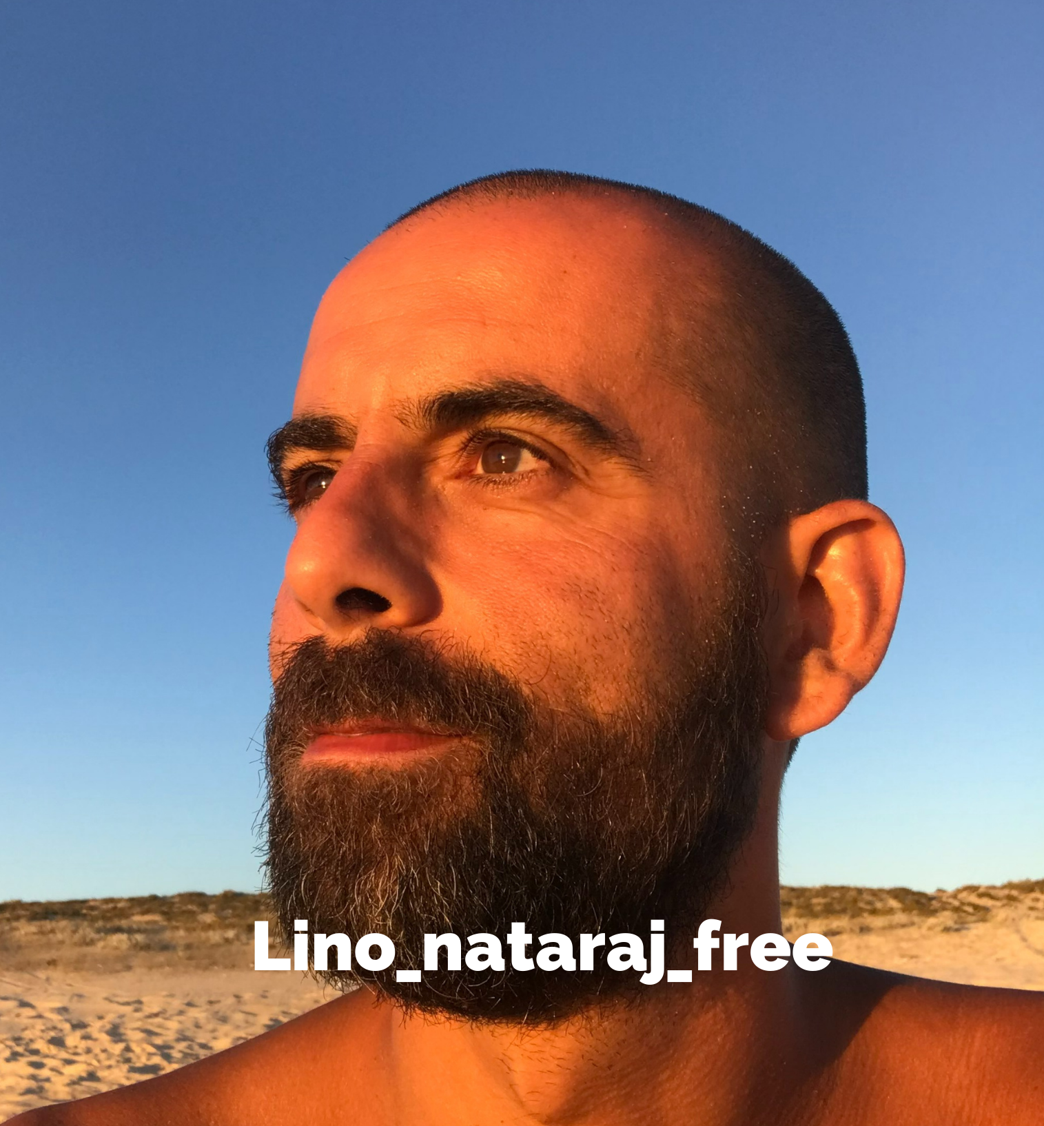 Lino Martins yoga free profile