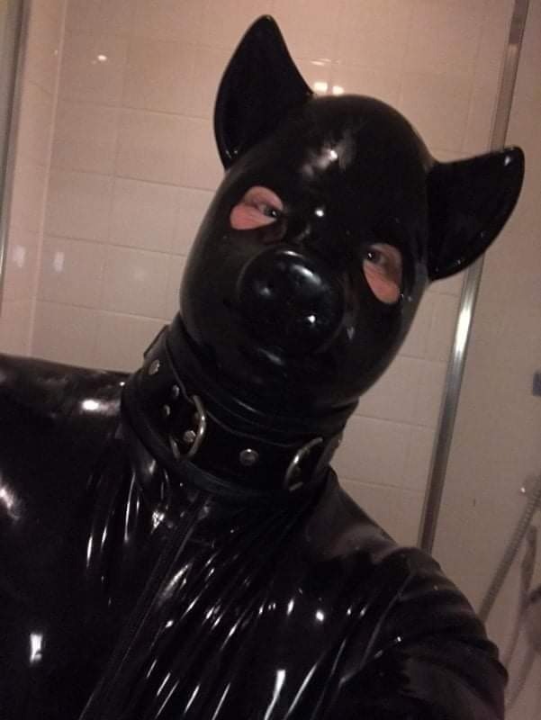 rubbercigarpigcover