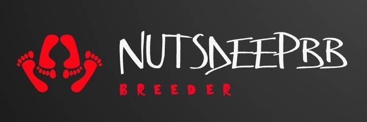 nutsdeepbb profile