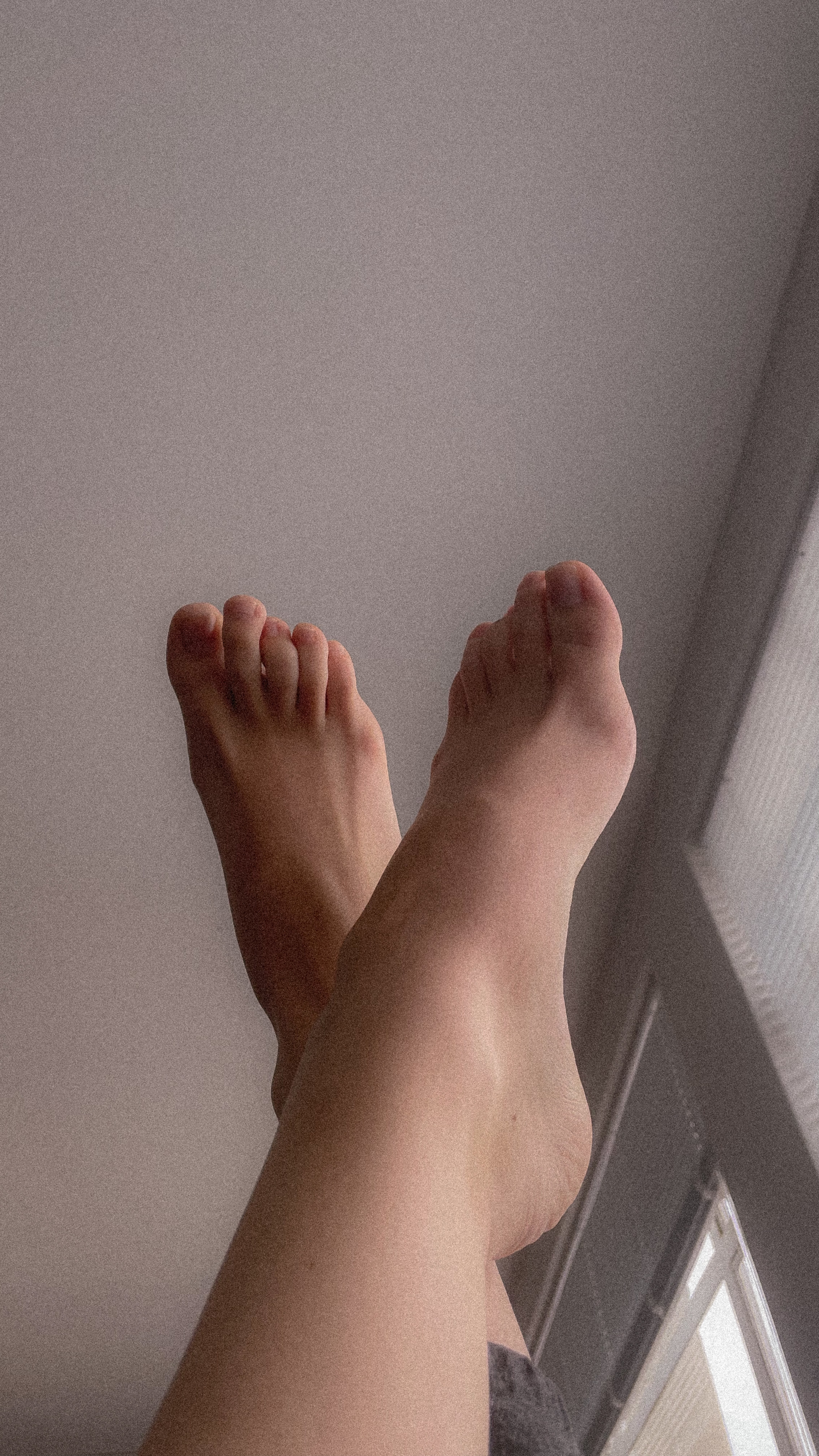 toebeforebro profile