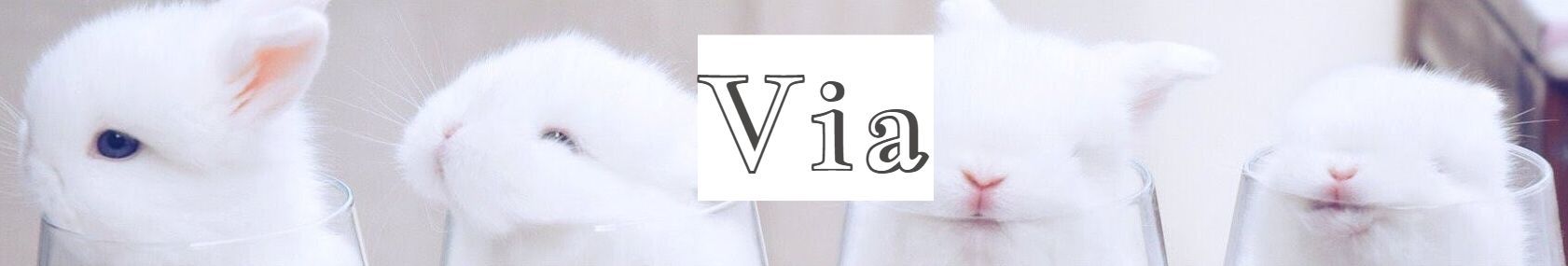 viahub thumbnail