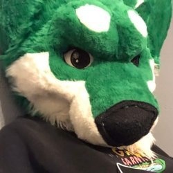 harlthehusky profile