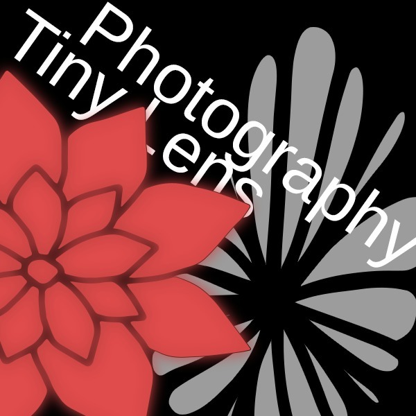 Tiny Lens Photography profile