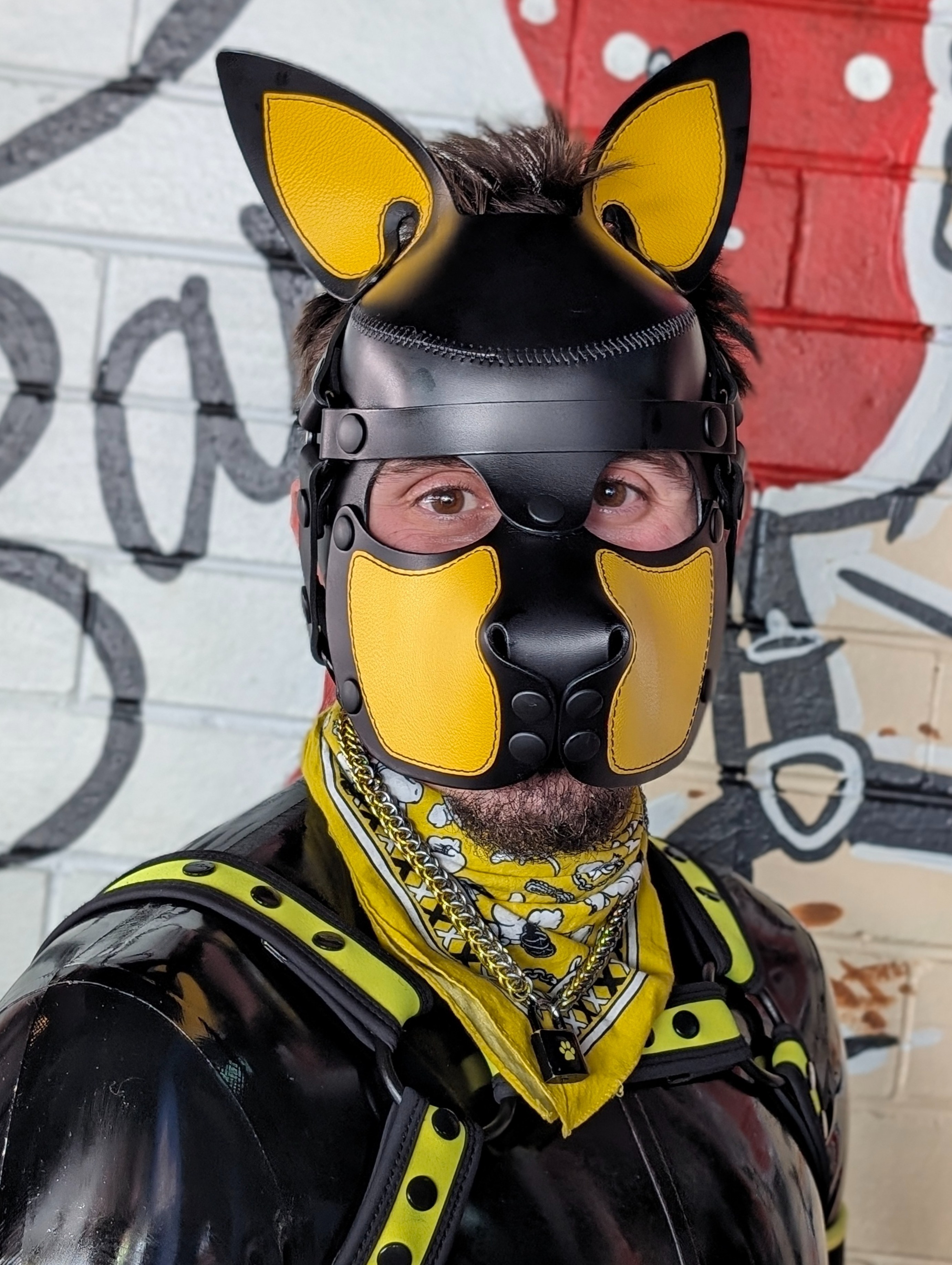 Achillies_Pup 🐶 profile