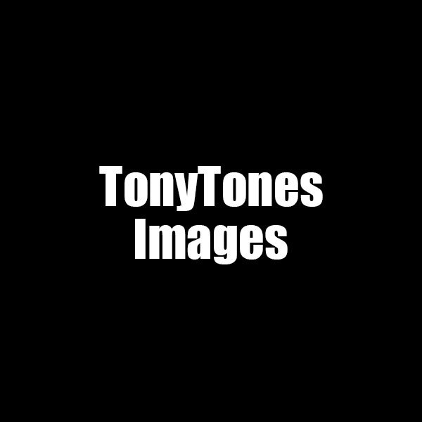 tonytonescover