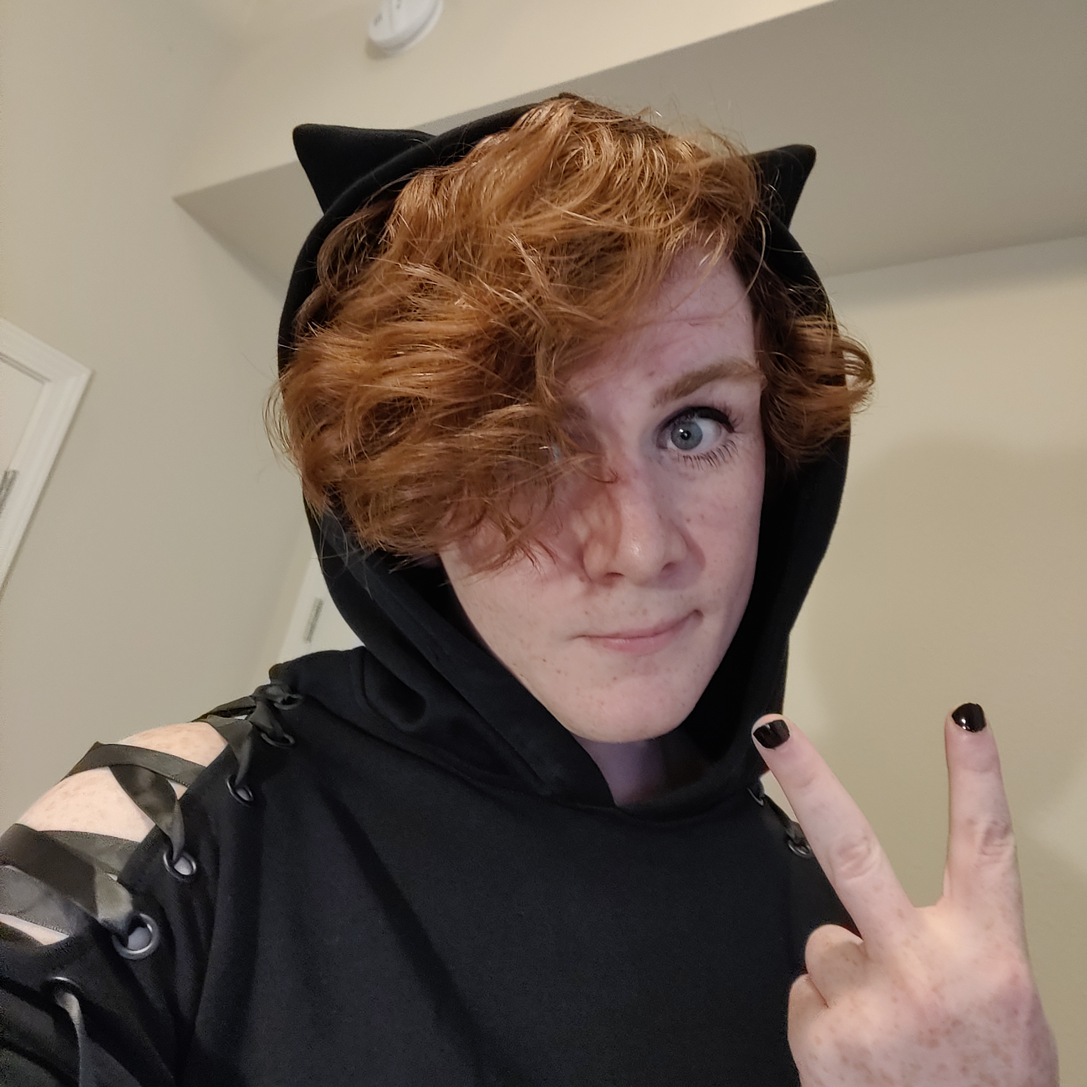 felixthecatboy profile