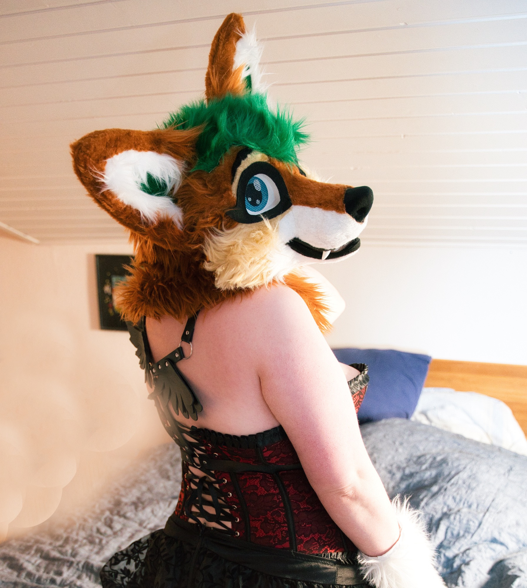 furry_foxxy profile