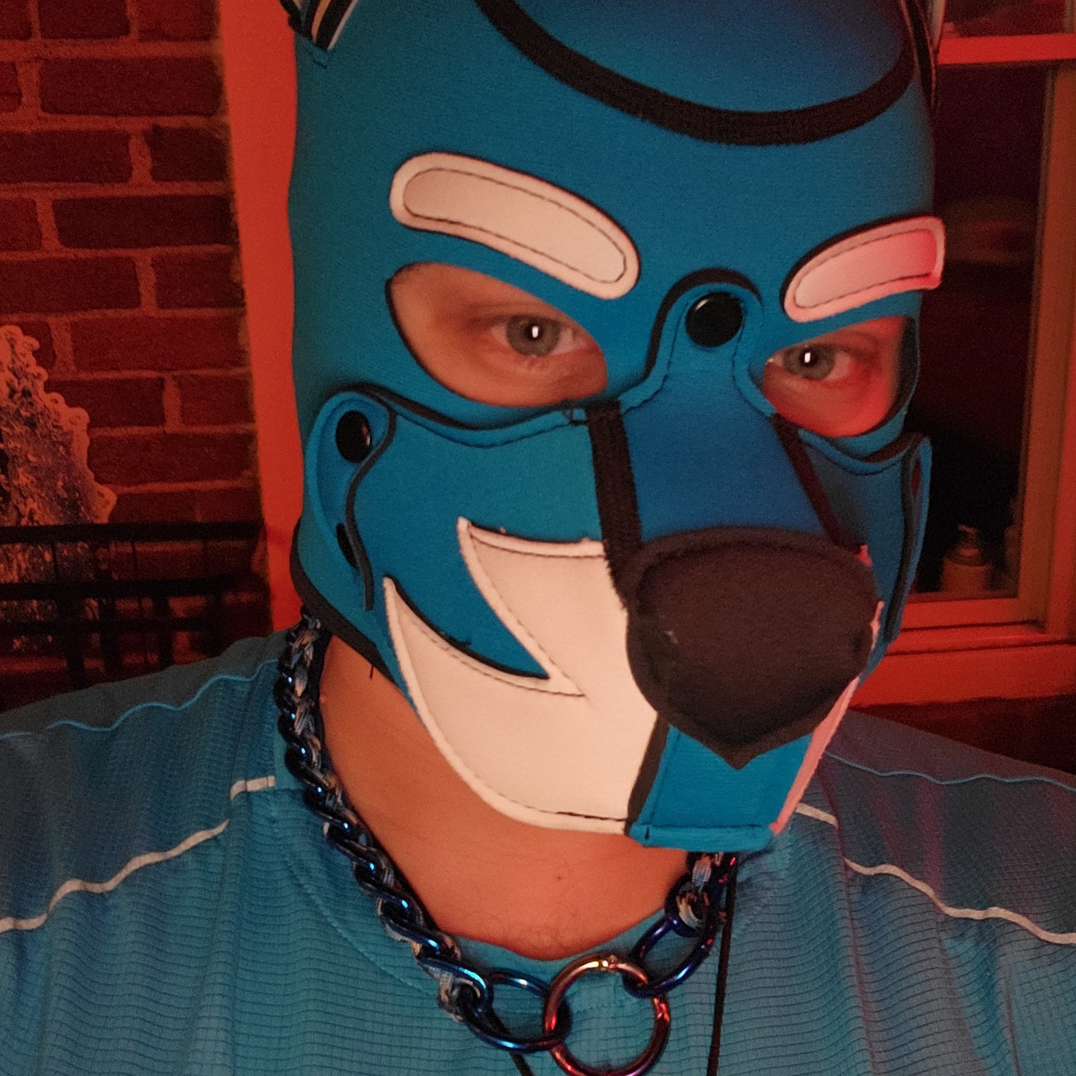 pup_wolfio profile