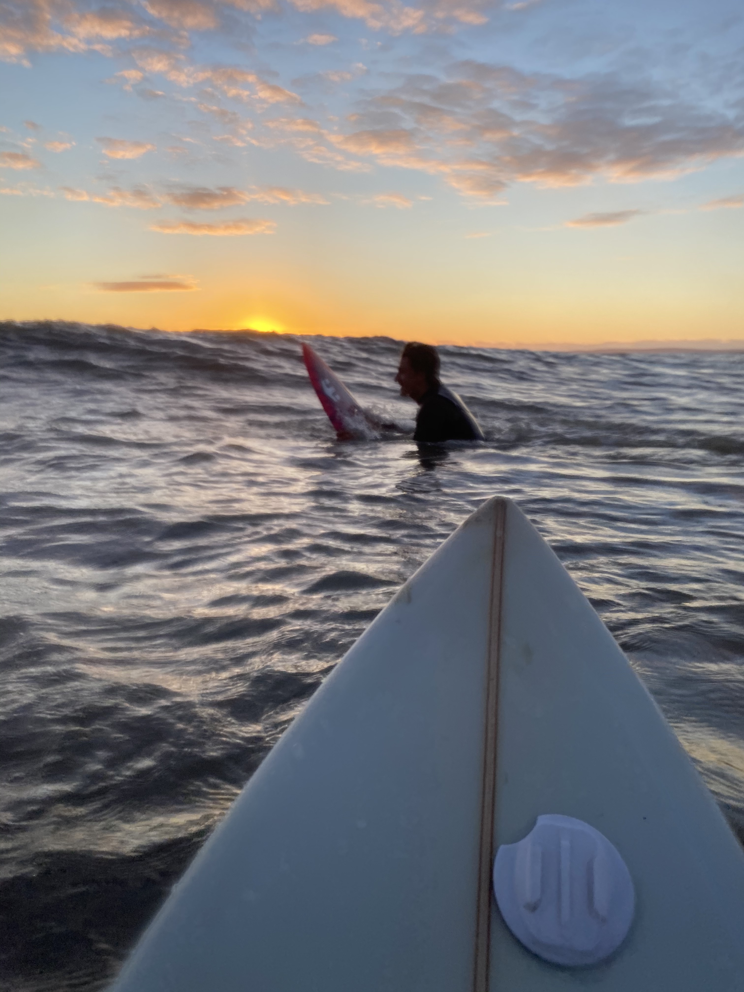 Sexy Surfer profile