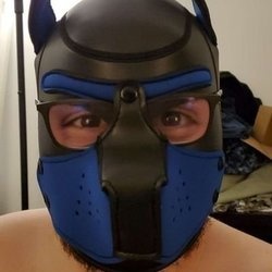 pupgrey1998 profile