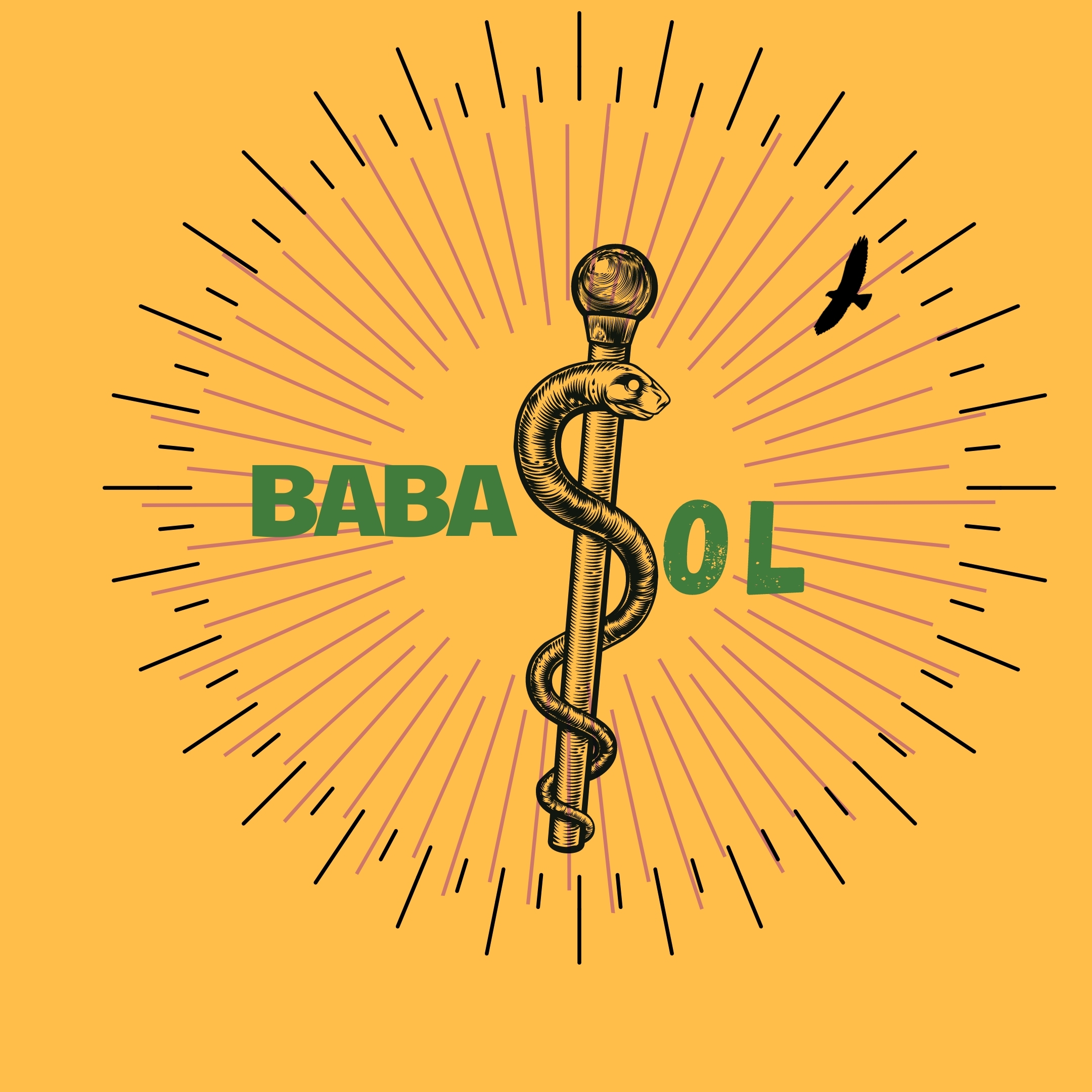 Baba SOL aka Bush Man ATL profile