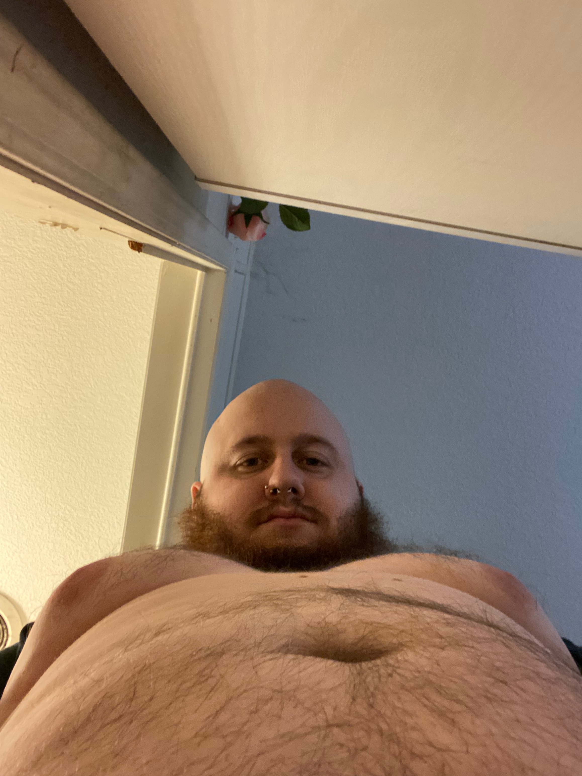 baldhoekagecover