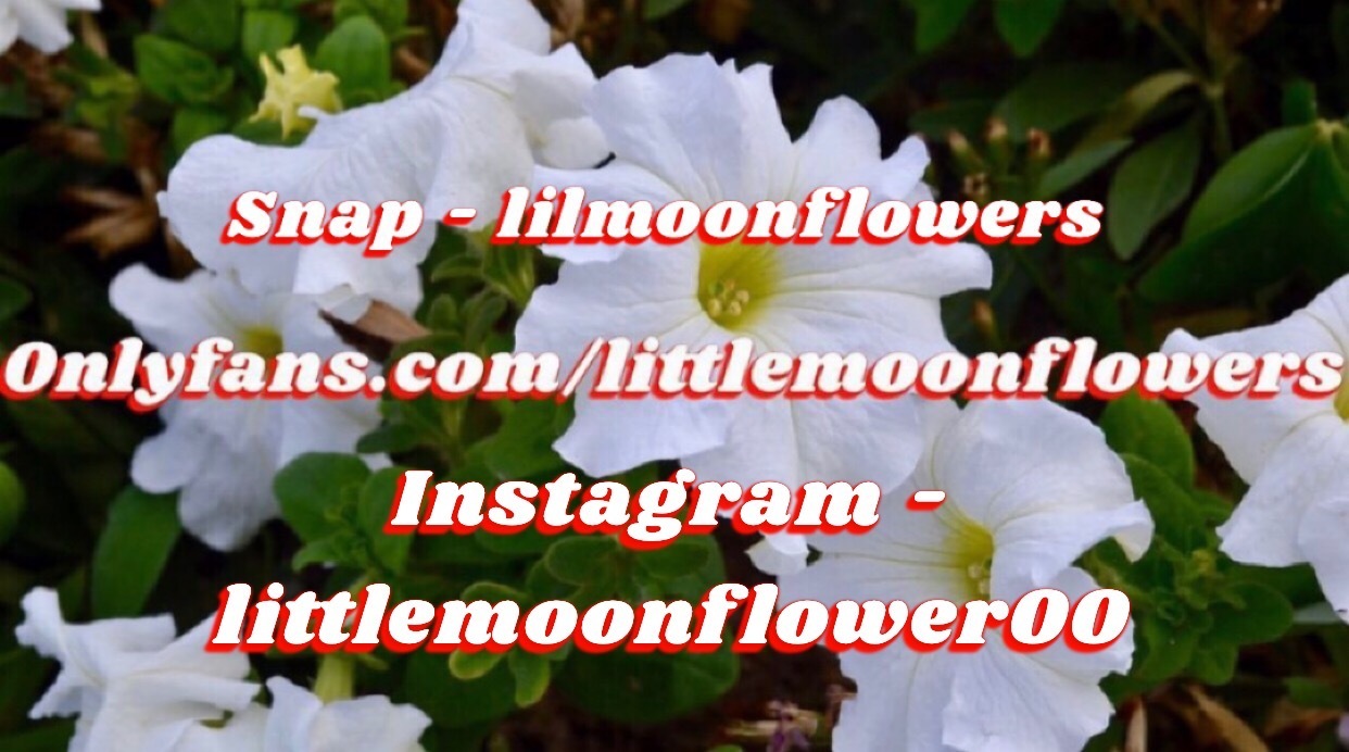 littlemoonflowers thumbnail