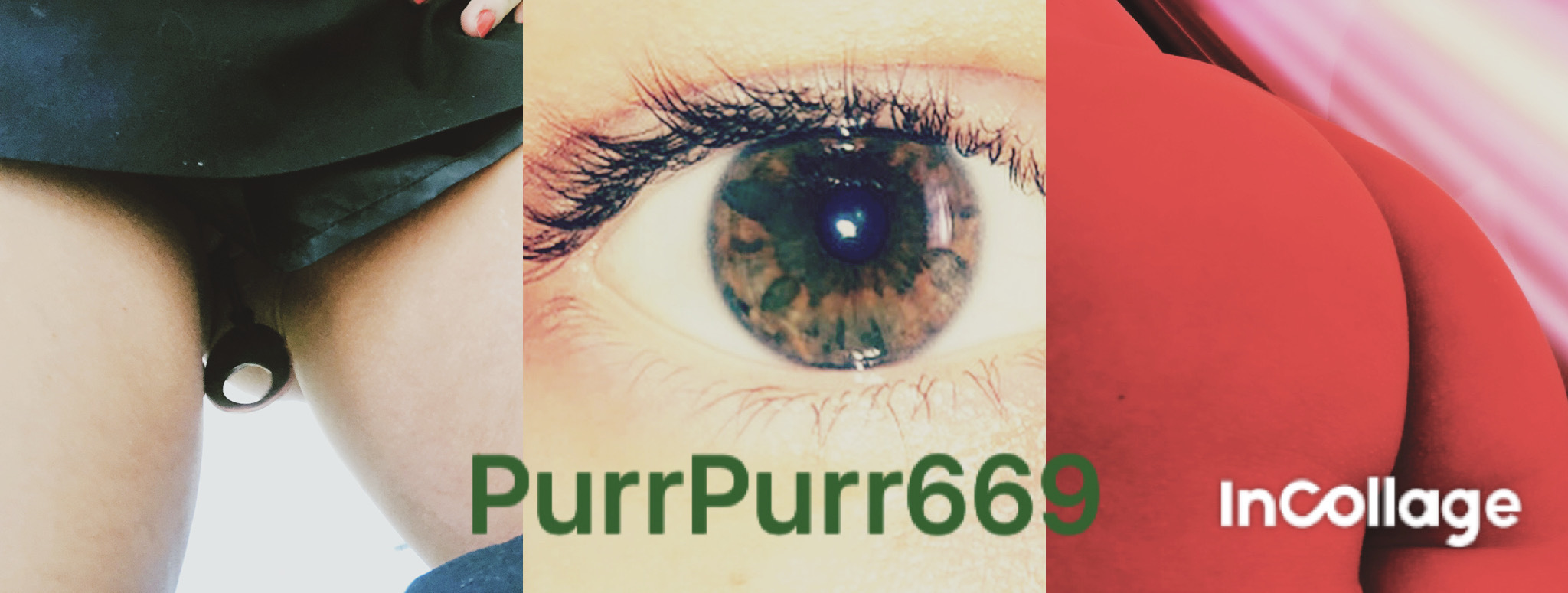 purrpurr669 thumbnail