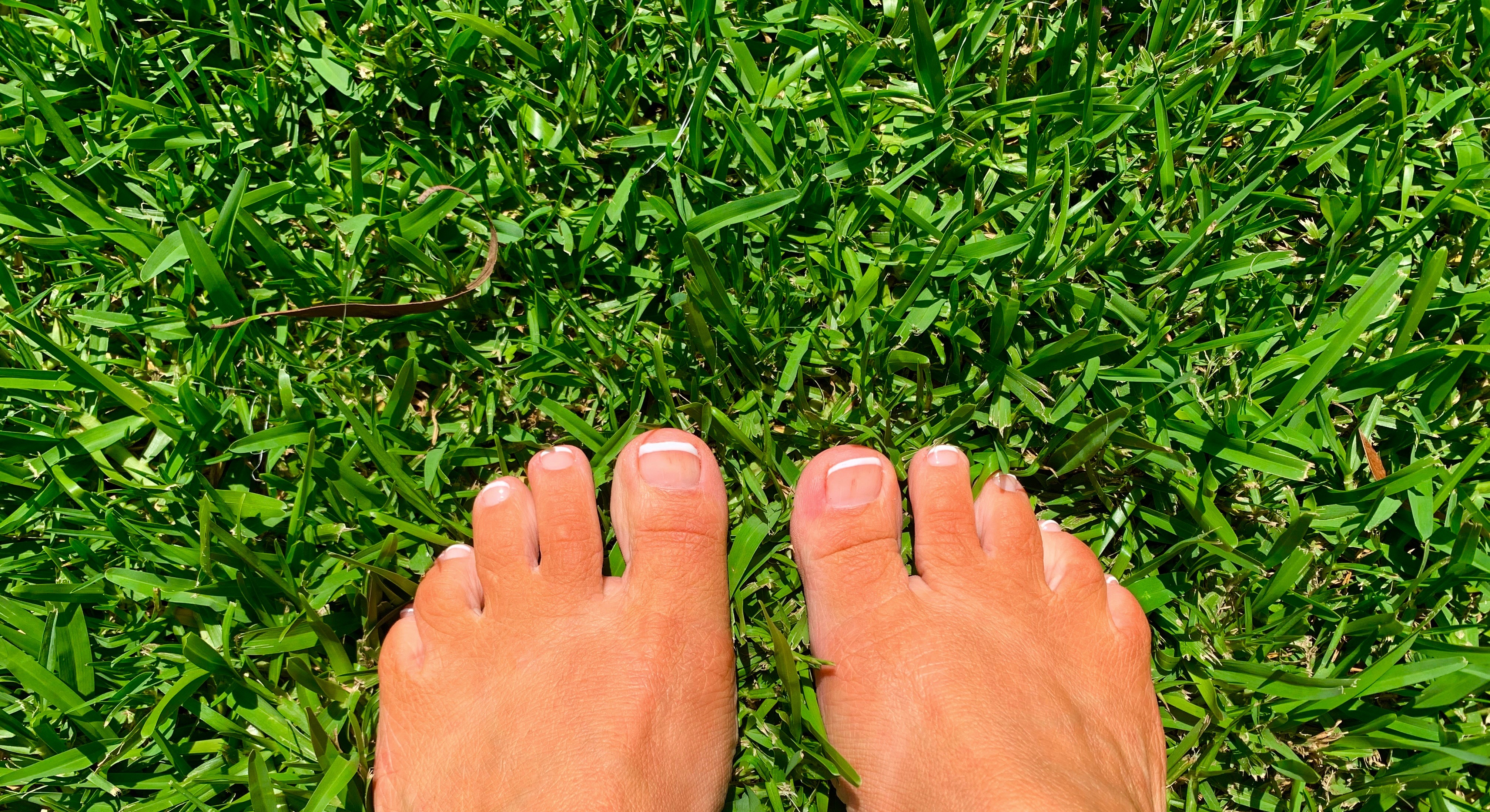 Tootsies For You thumbnail