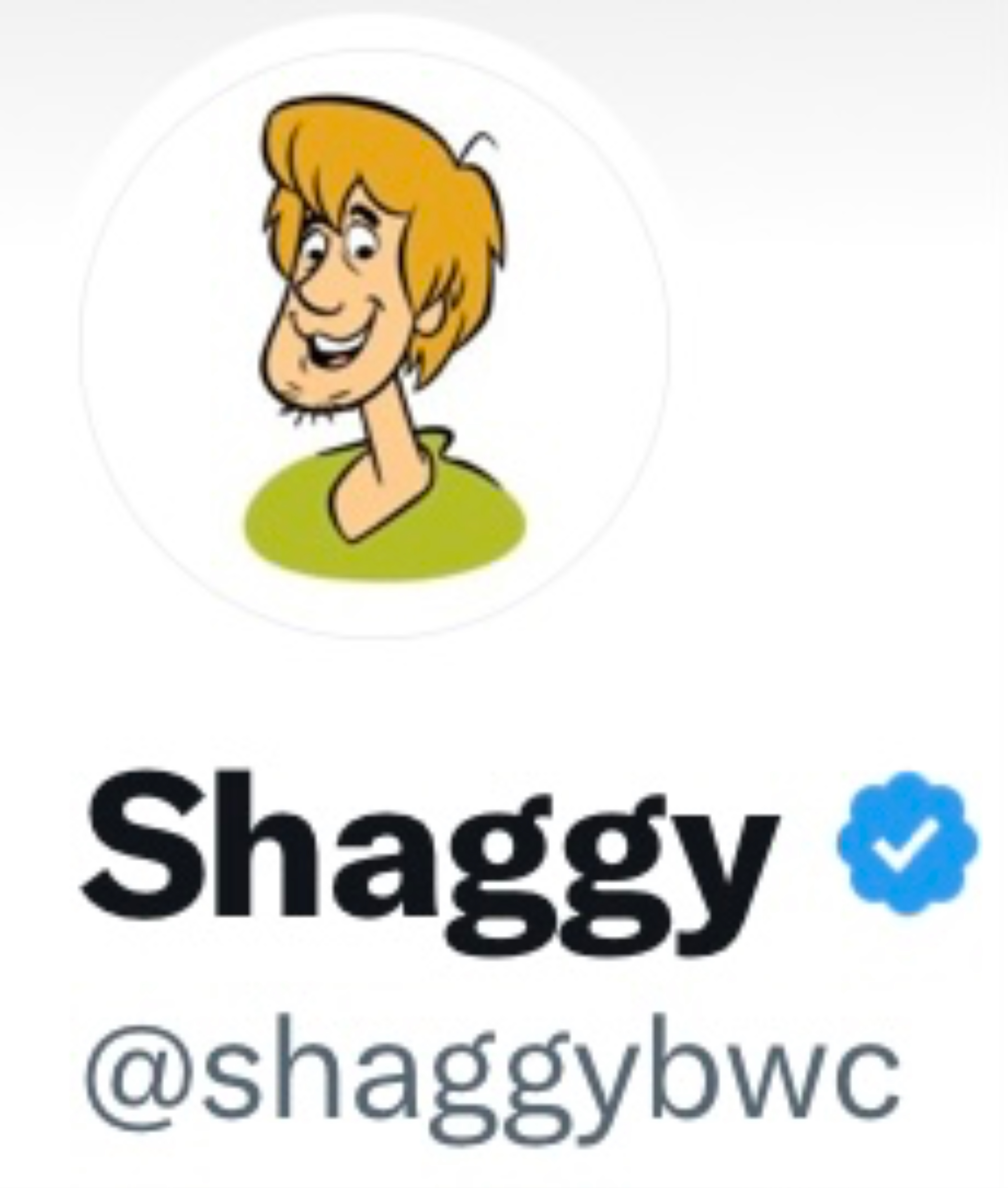 Shaggy profile