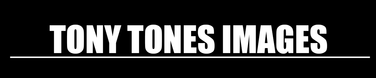 tonytones thumbnail