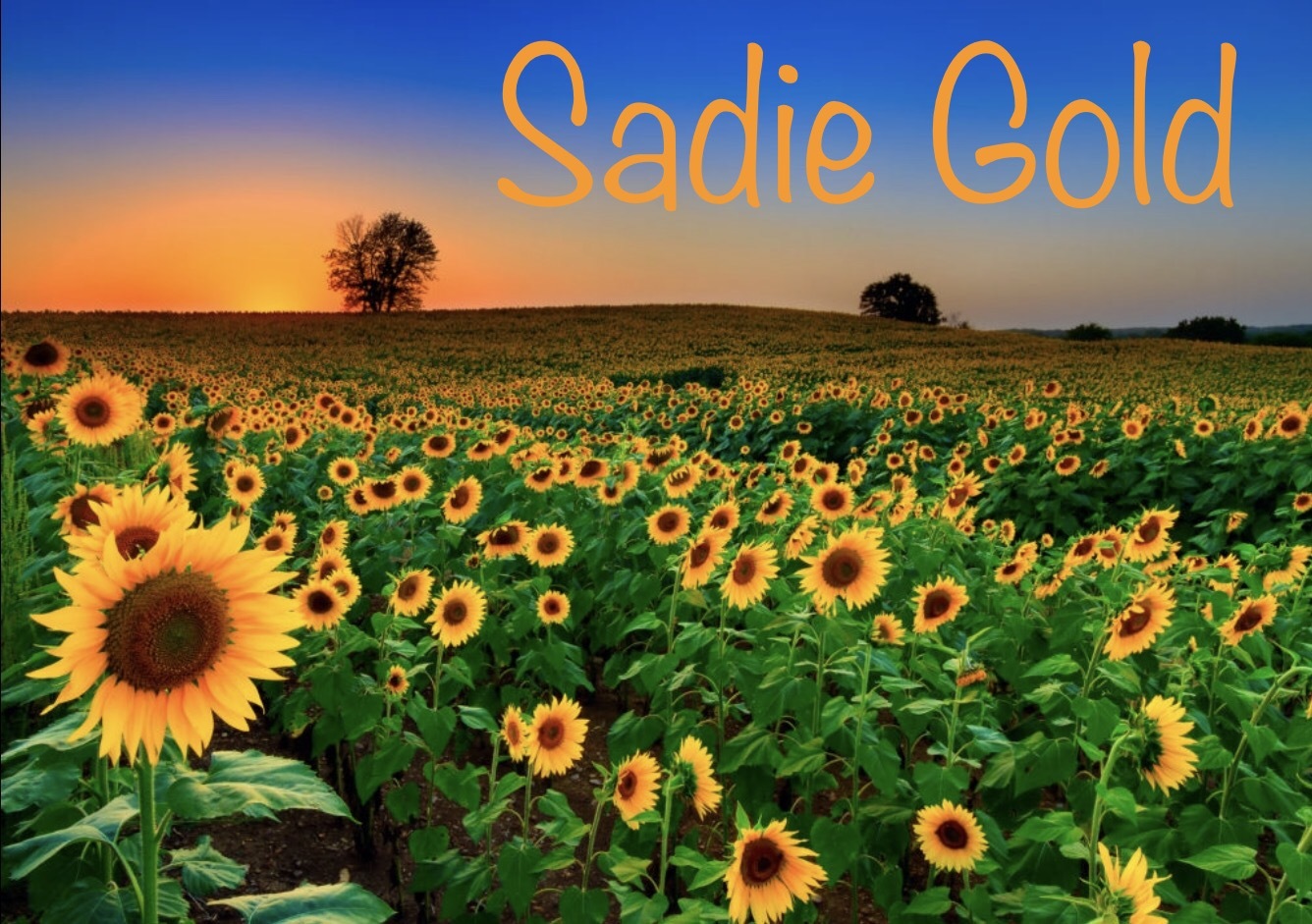 sadiegold thumbnail