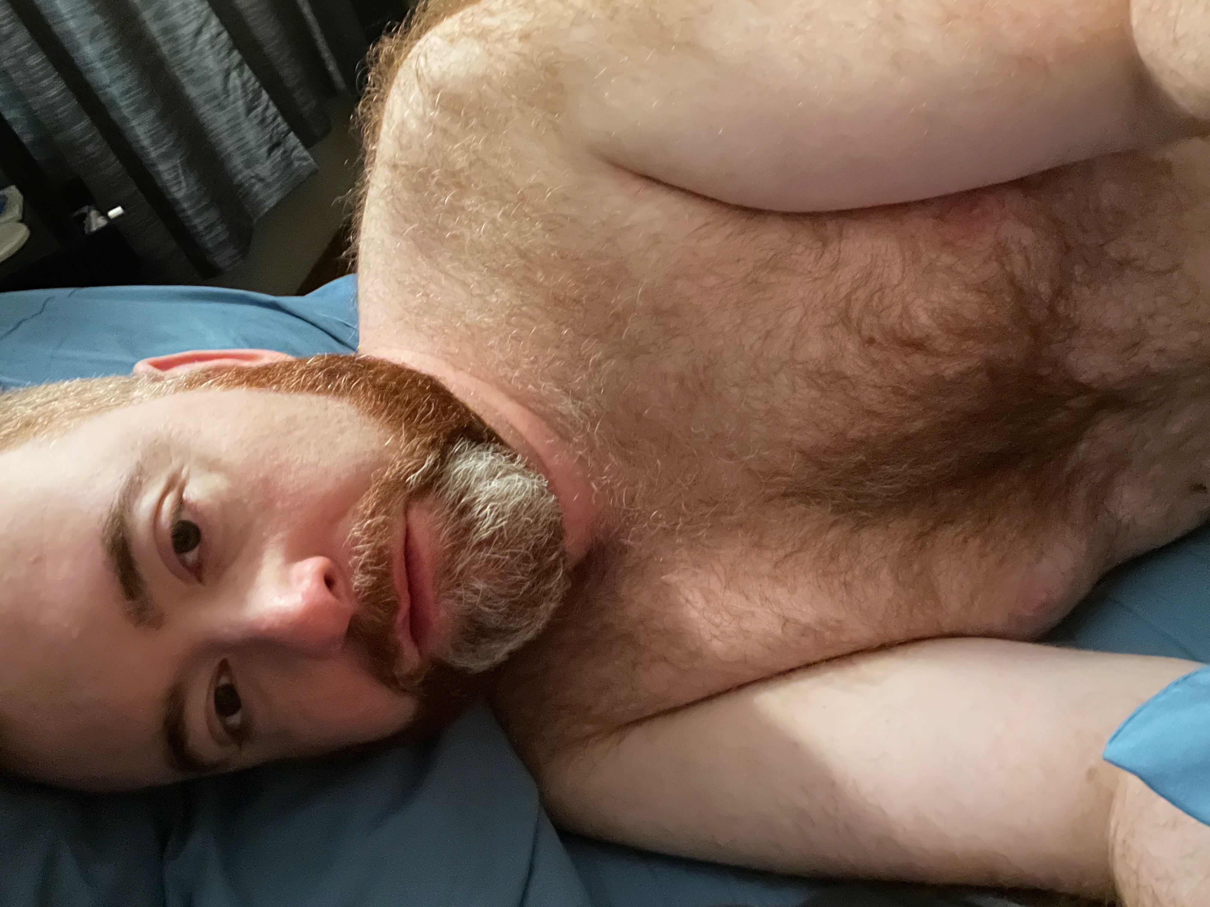 gingerbearchi thumbnail