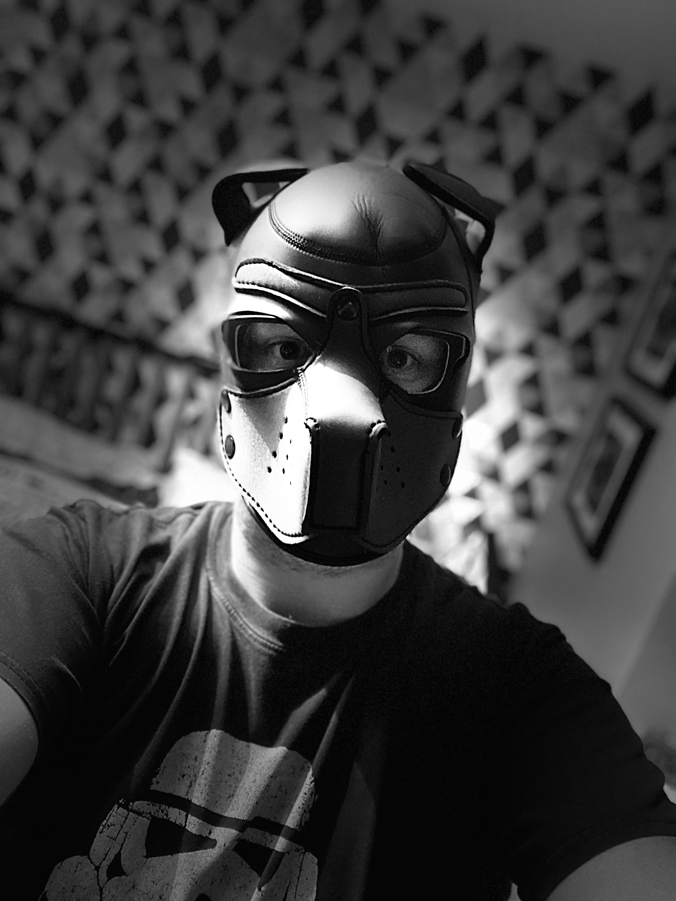 pup_jay profile