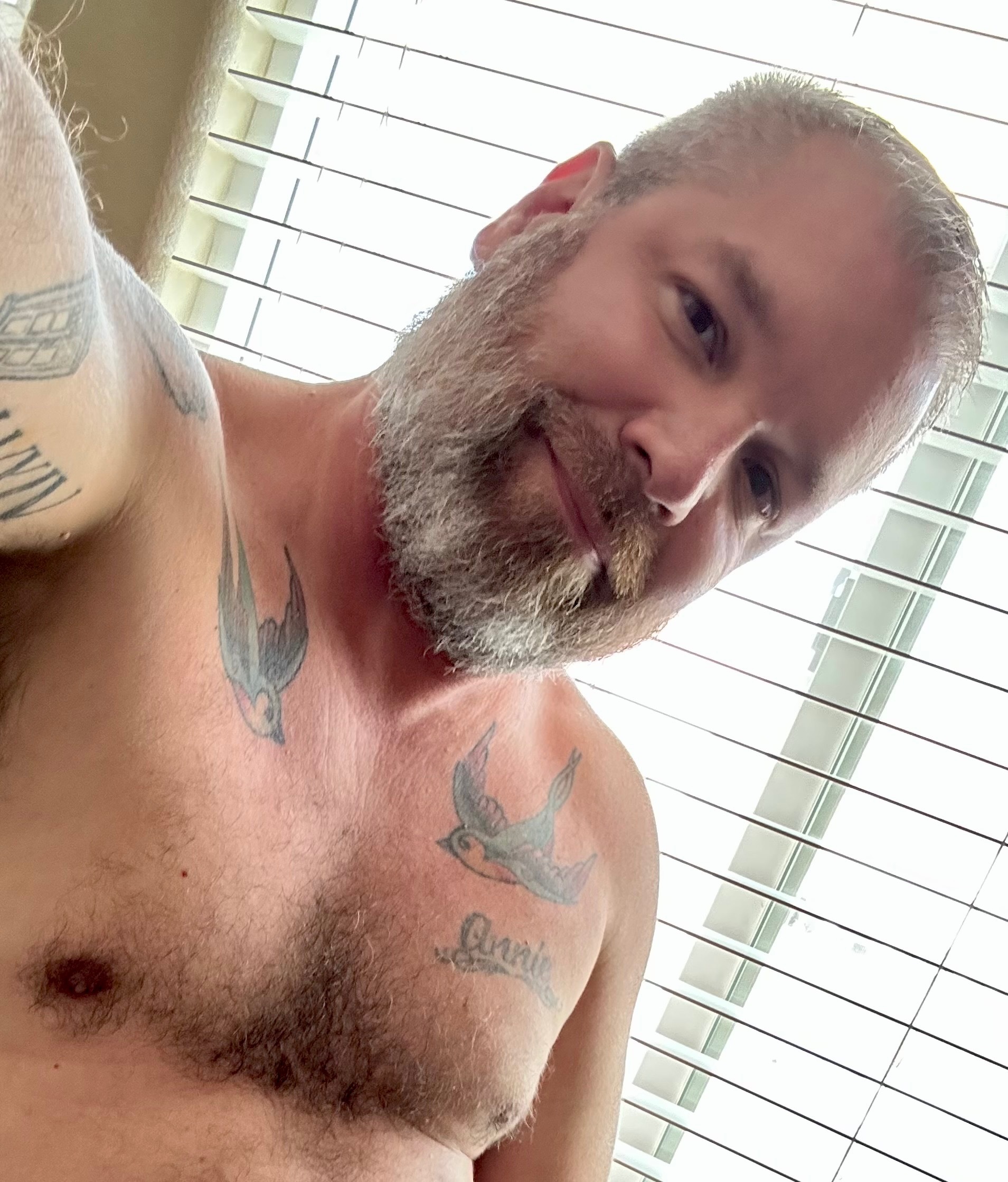 vegasdaddybear profile