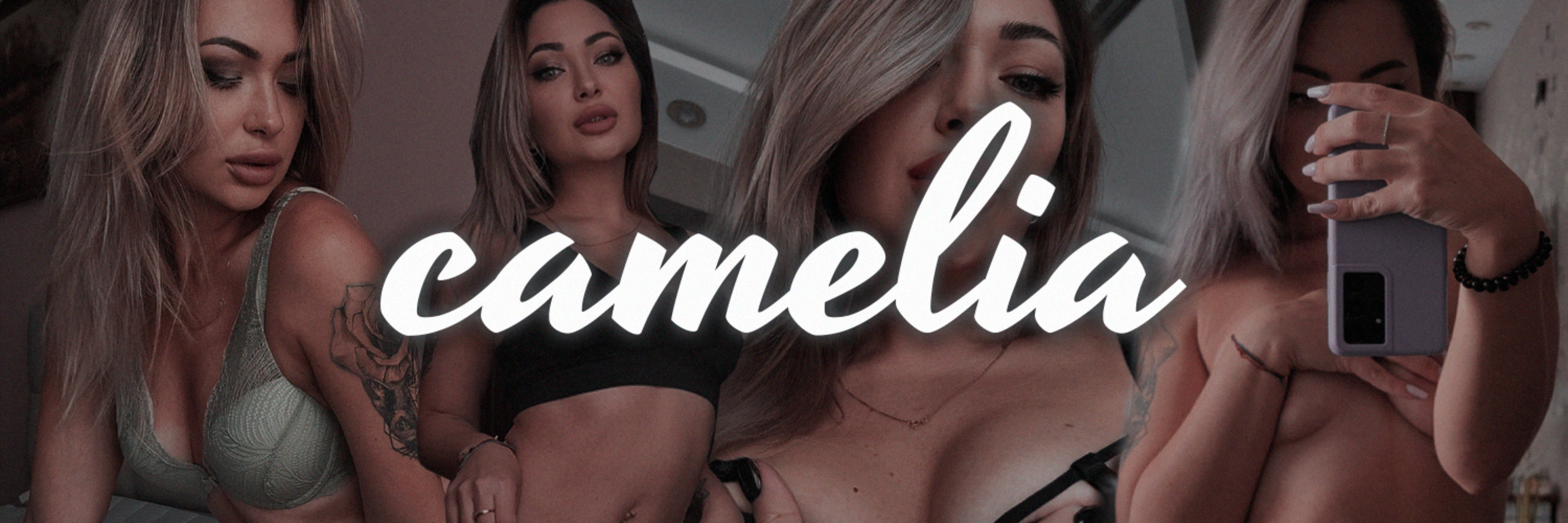 Camelia thumbnail