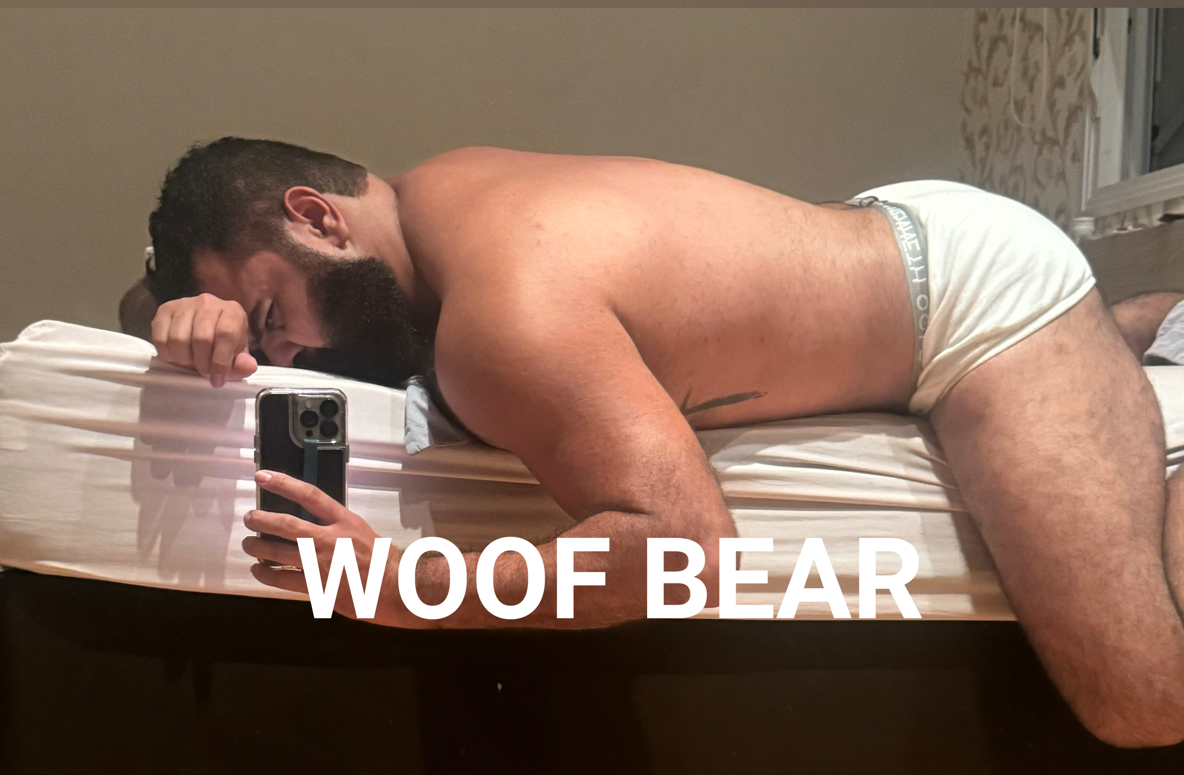 bearwoofbr thumbnail