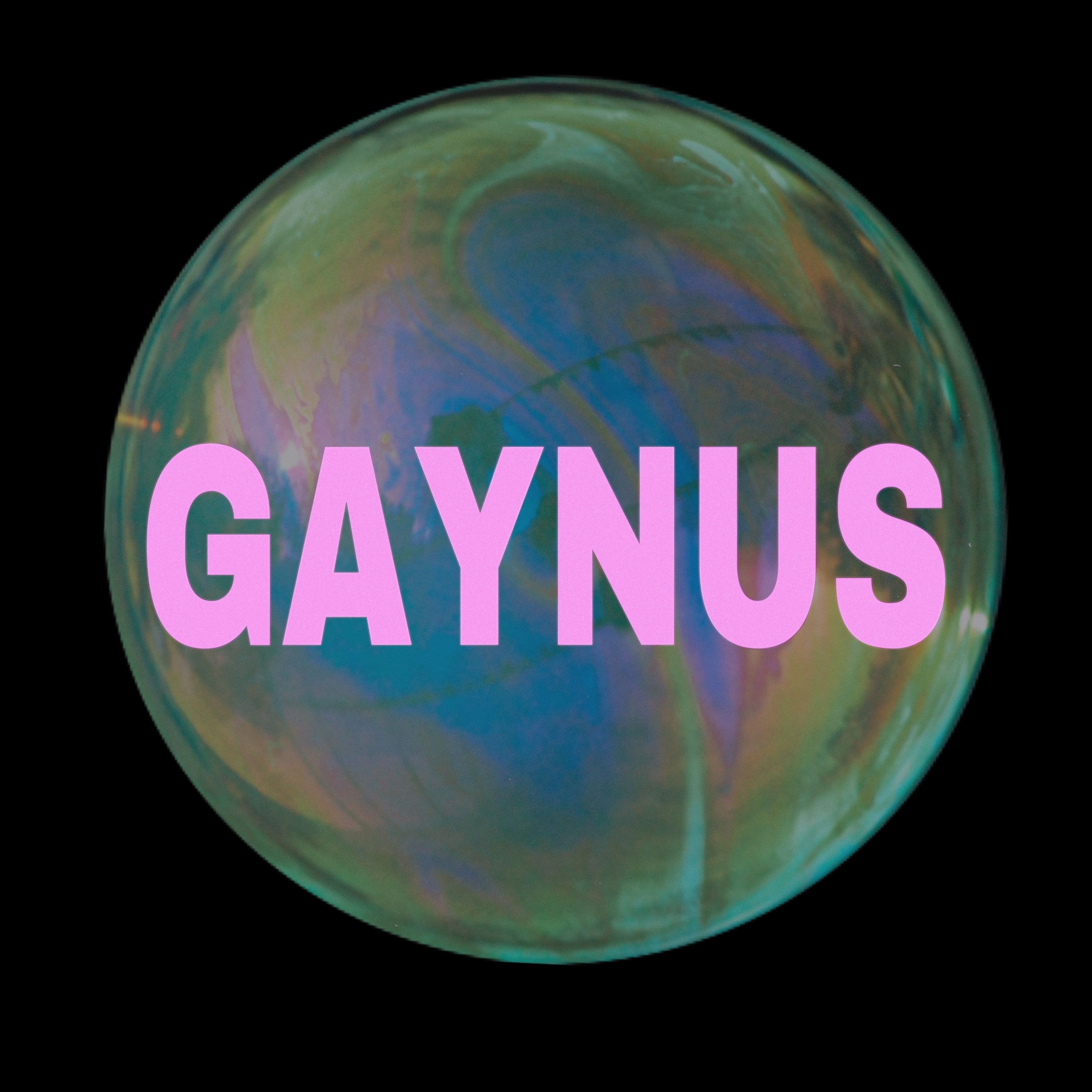 Gaynus thumbnail