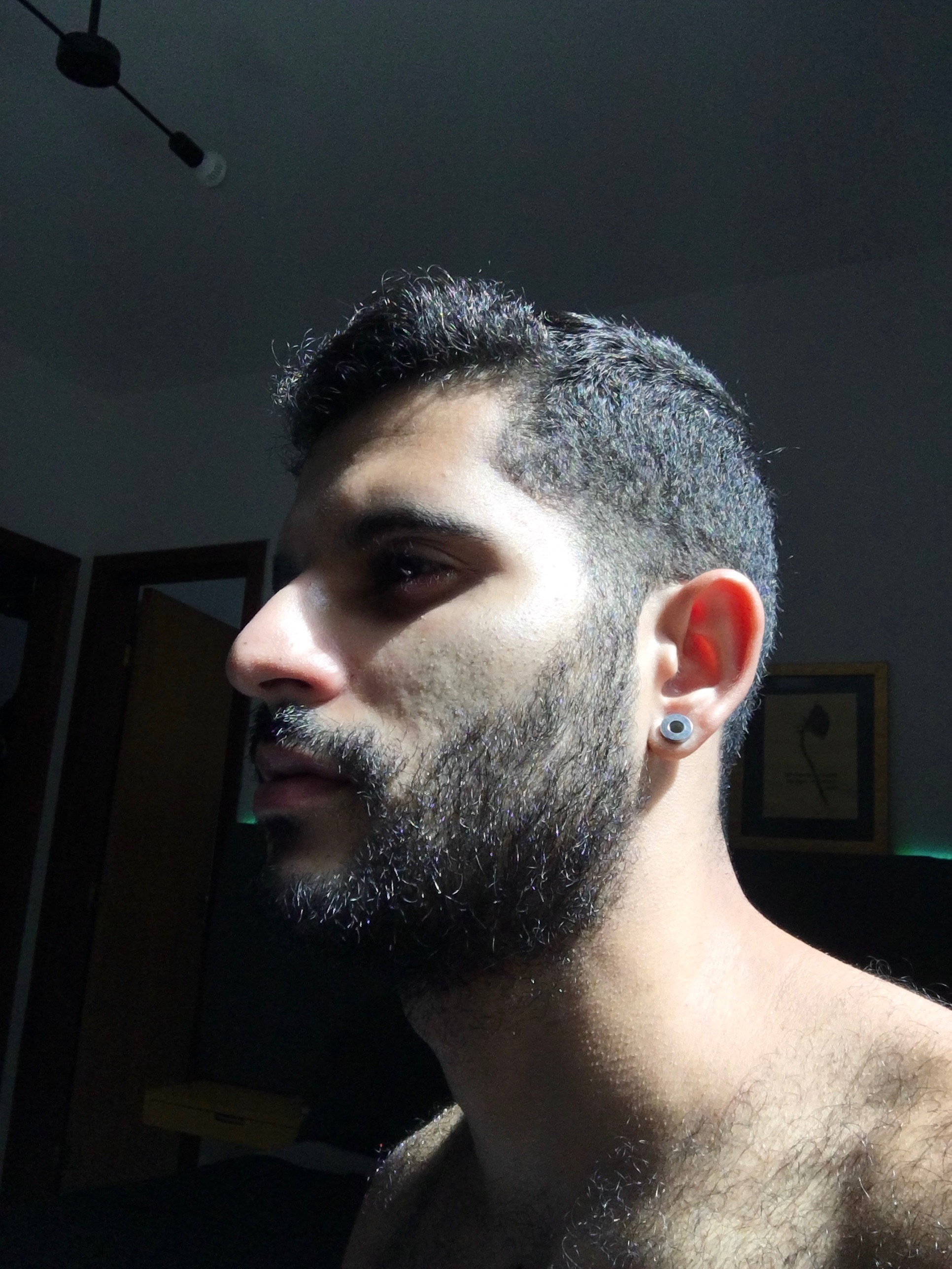 PELUDOTADO profile