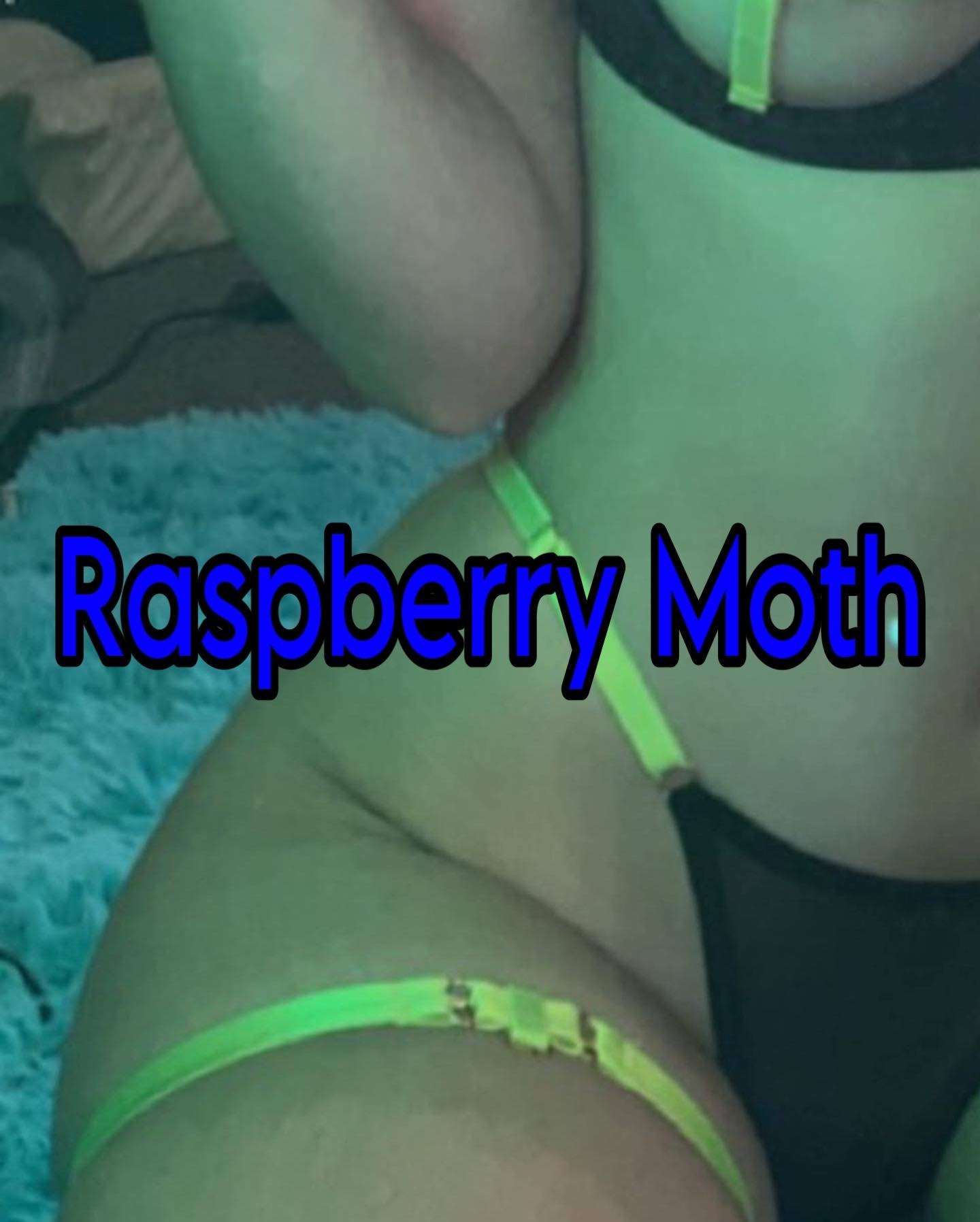 Raspberry Moth profile