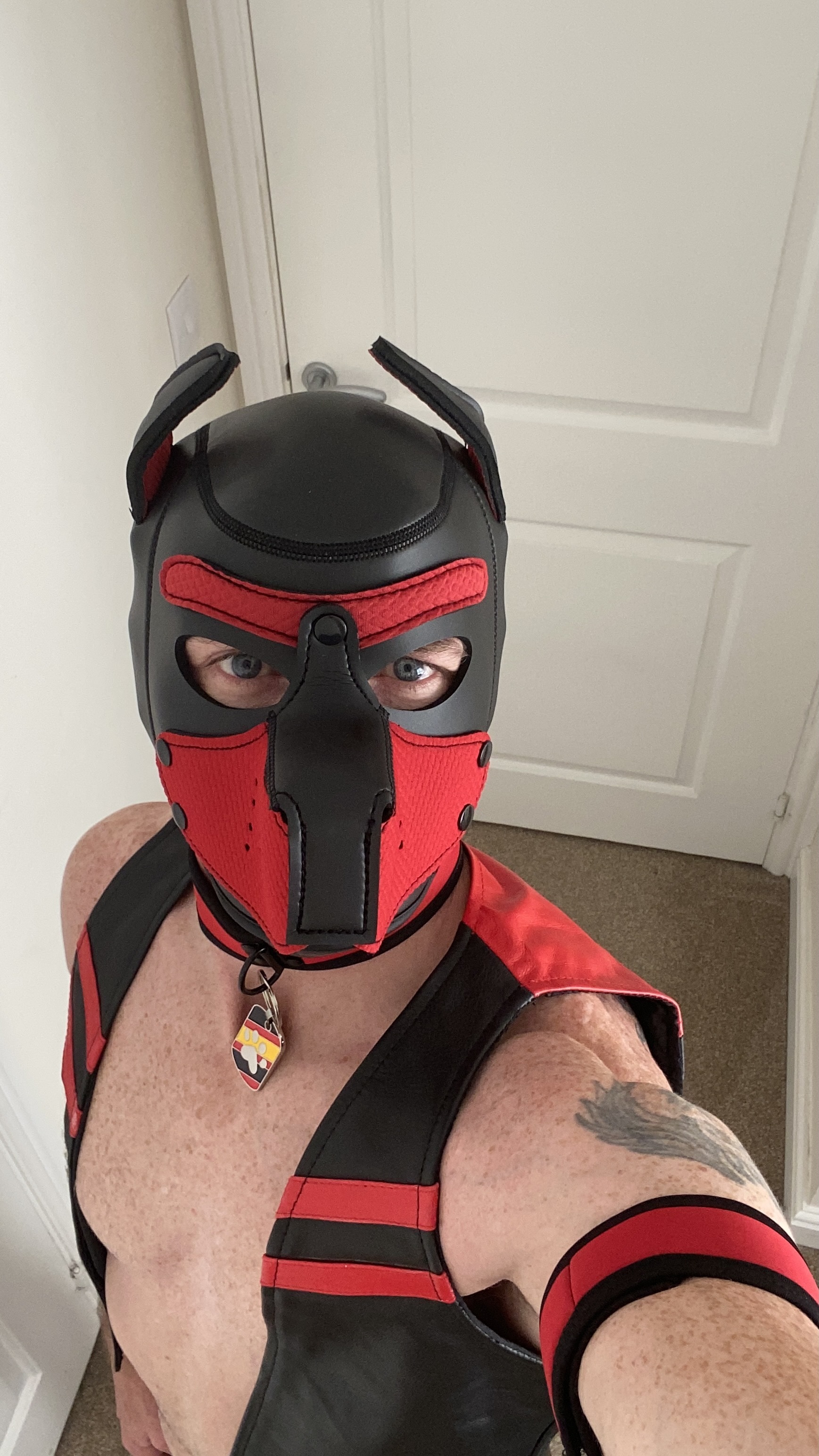 pup_aries profile