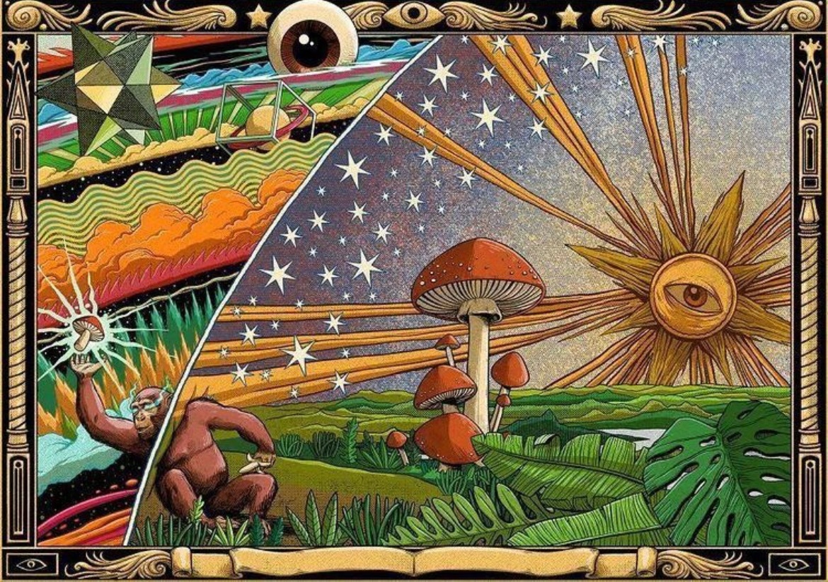 psilocybin22 thumbnail