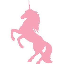 timidunicornrider profile