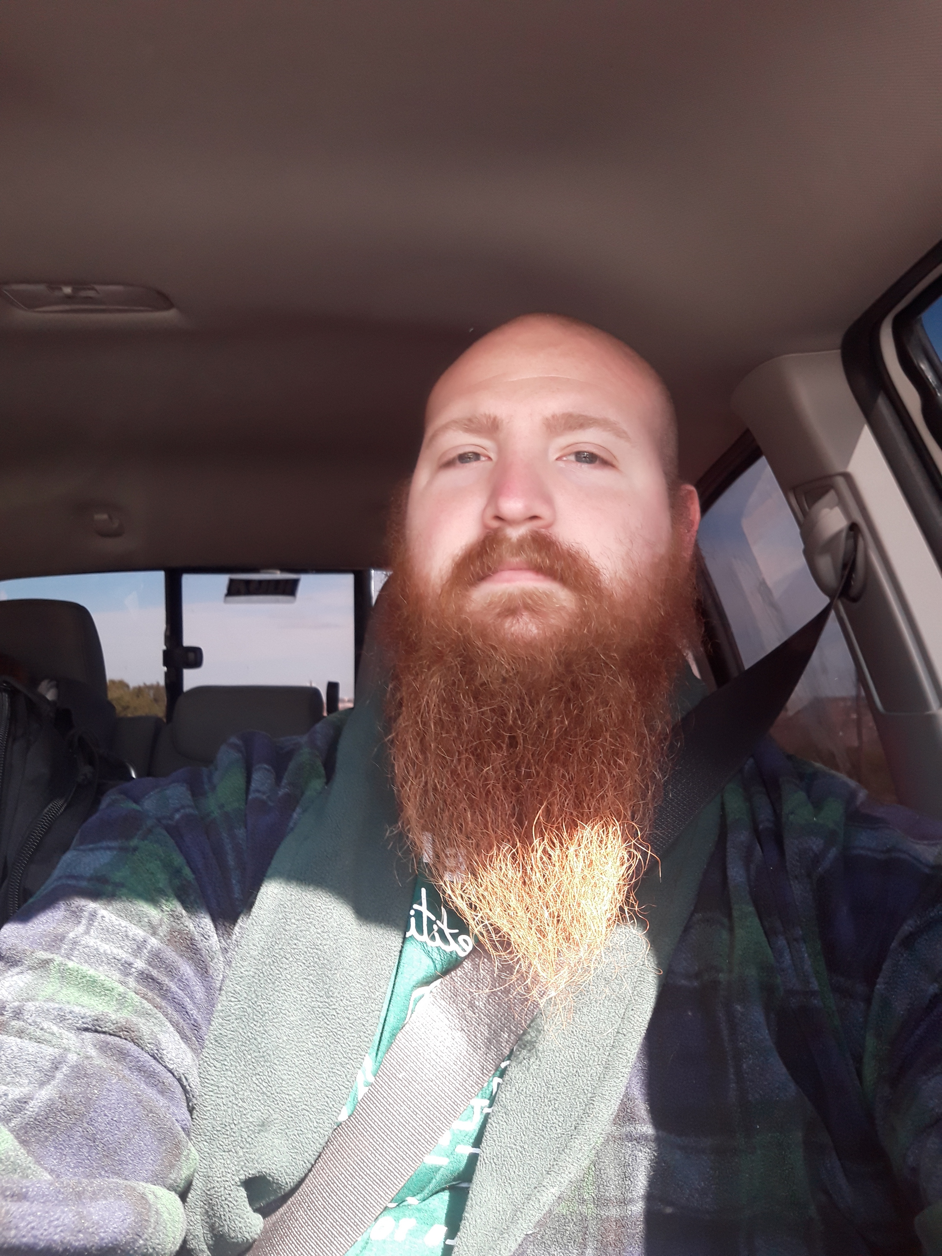 redbeardtheviking profile