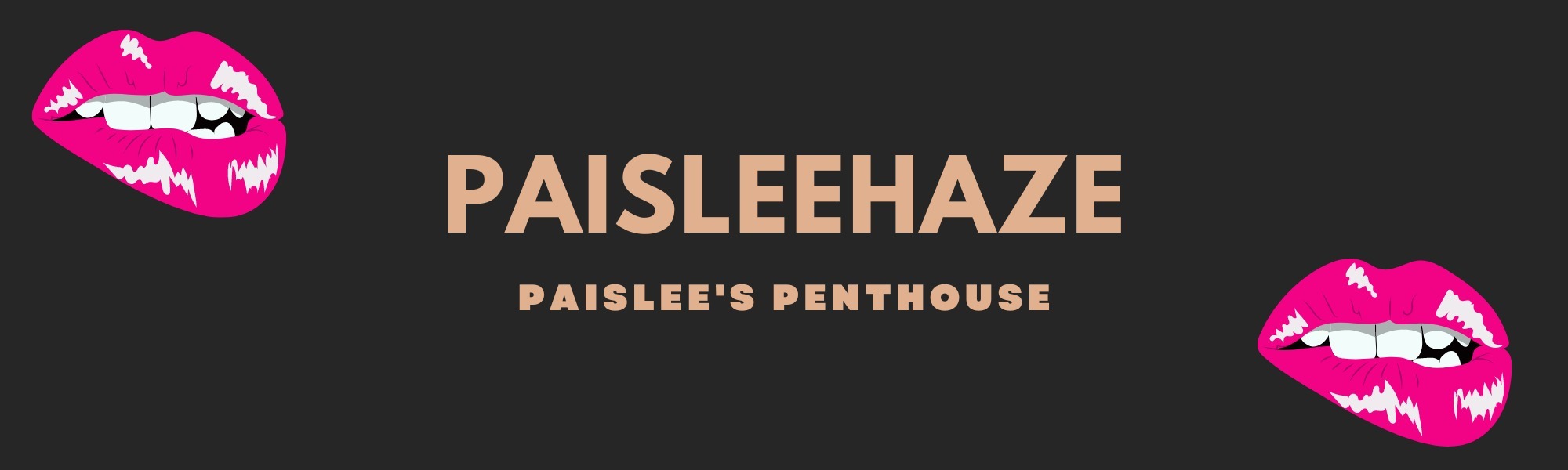 Paislee’s Penthouse thumbnail