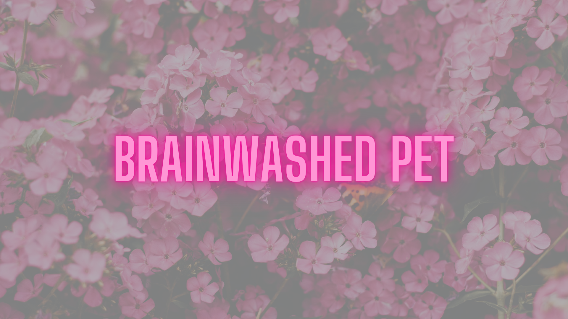 brainwashedpet thumbnail